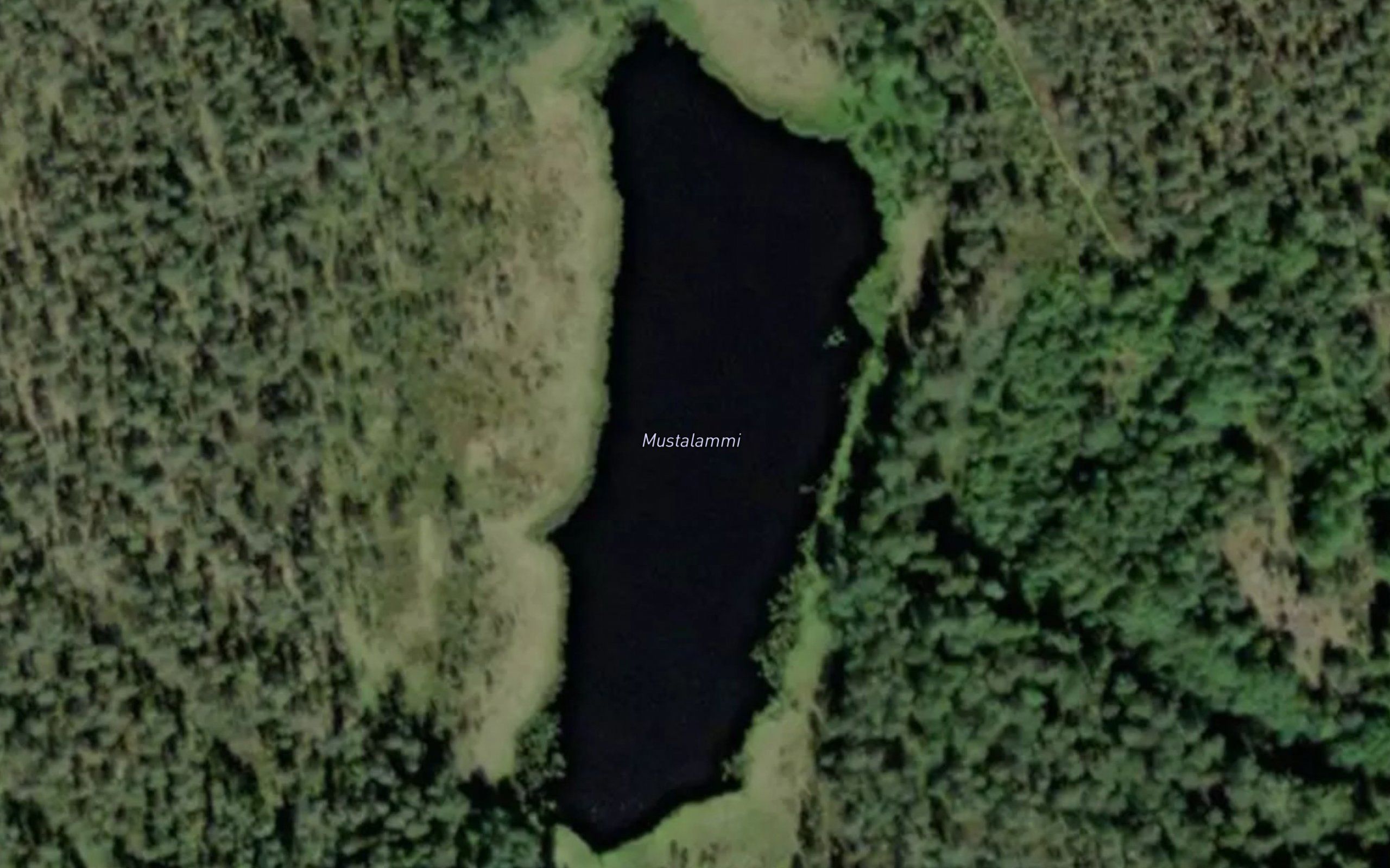 Mustalammi