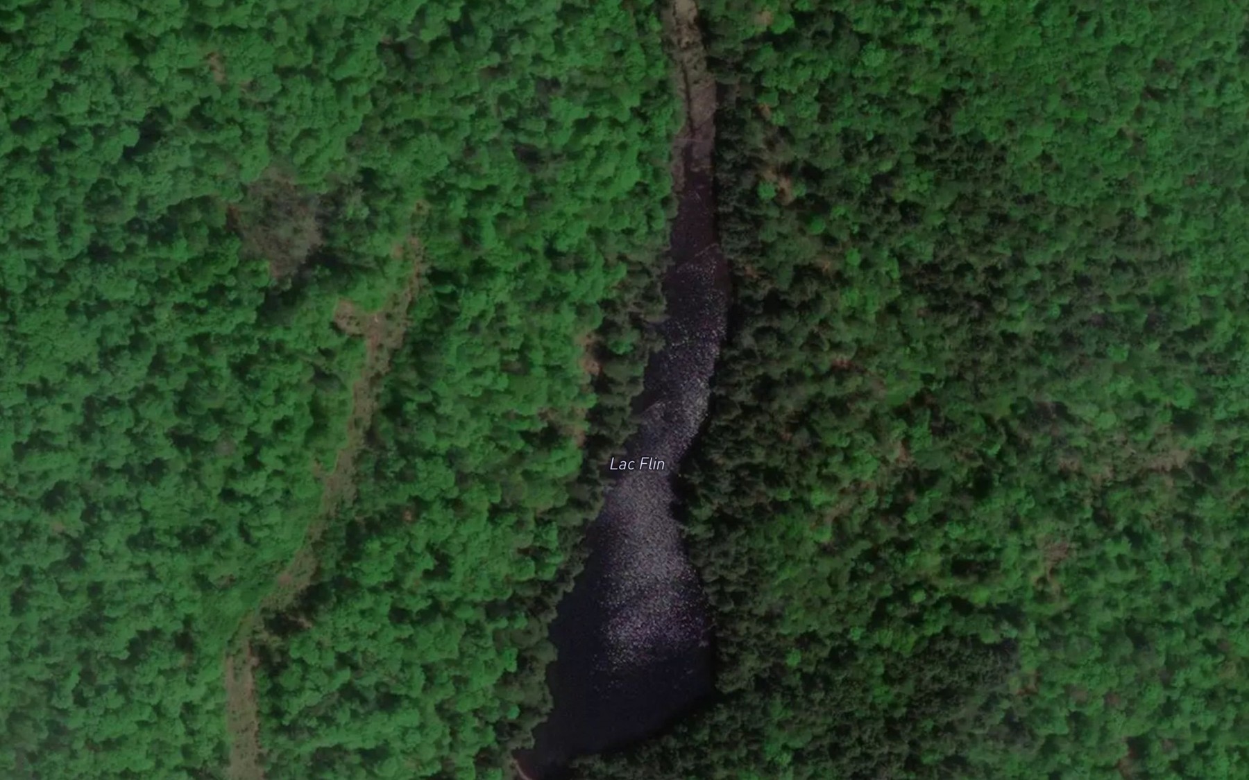 Satellite map of the Lac Flin