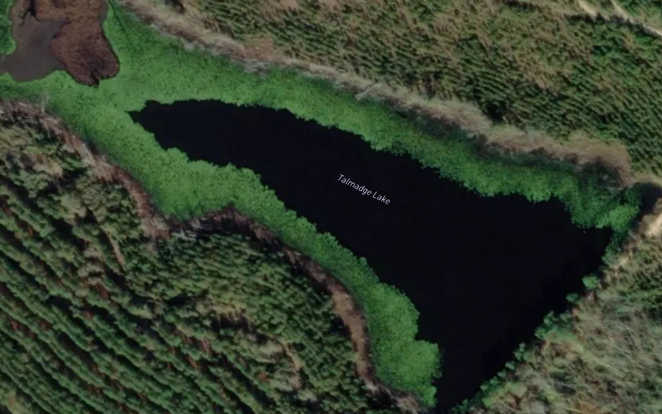 Talmadge Lake