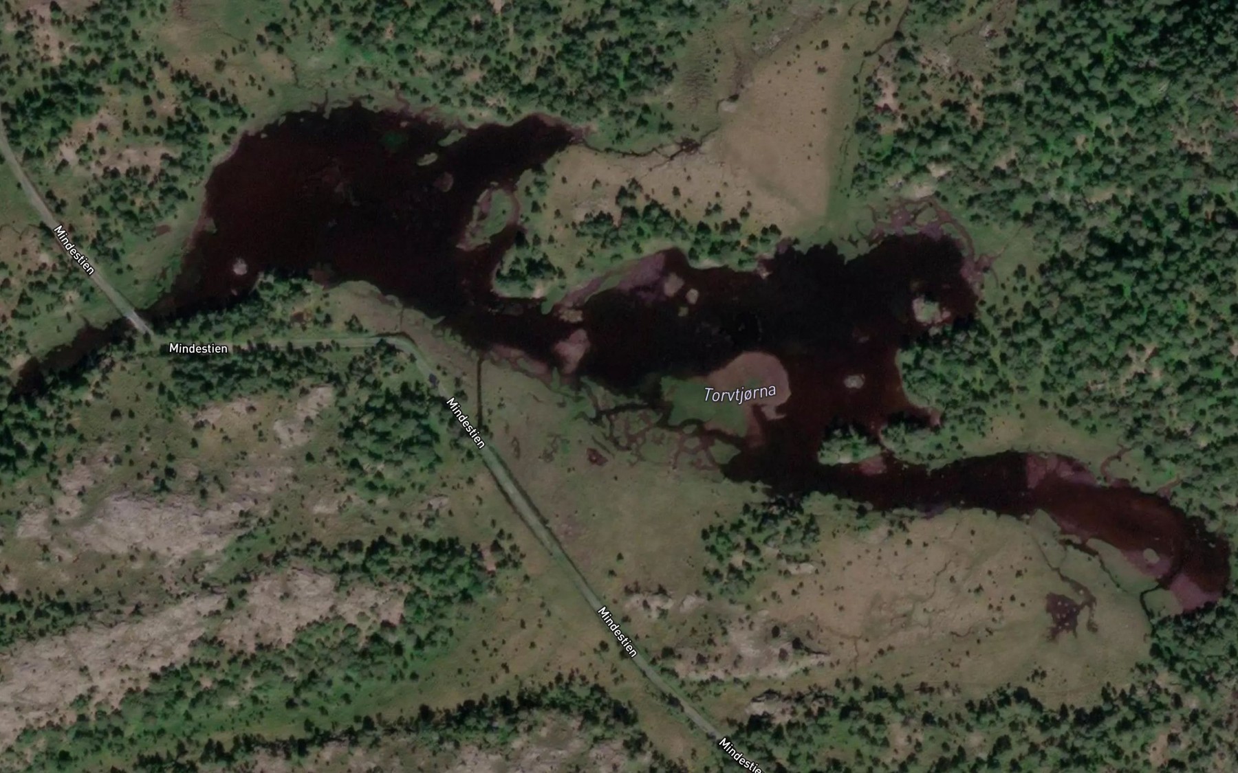 Satellite map of the Torvtjorna