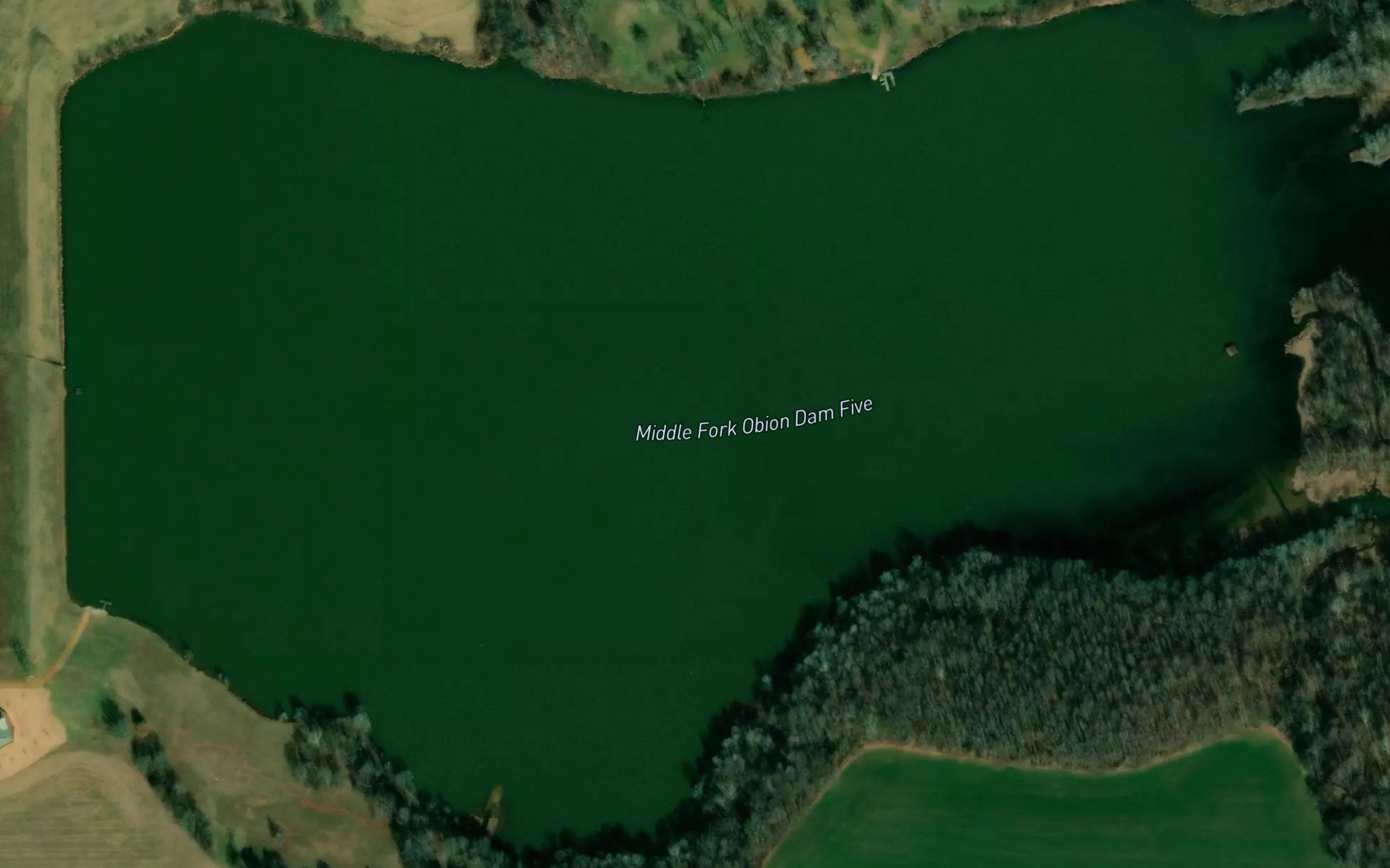 Middle Fork Obion Lake Five