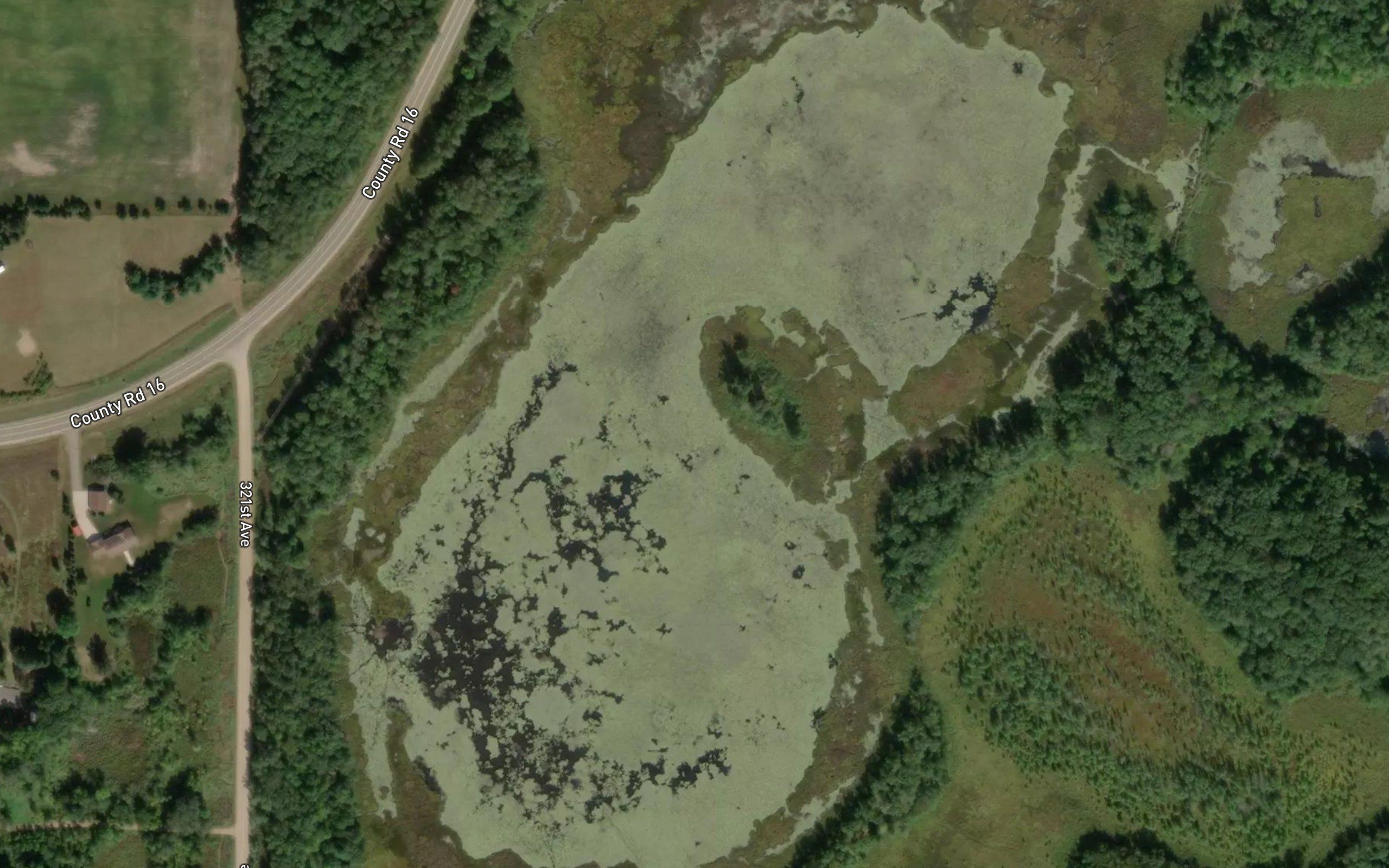 Loon Lake