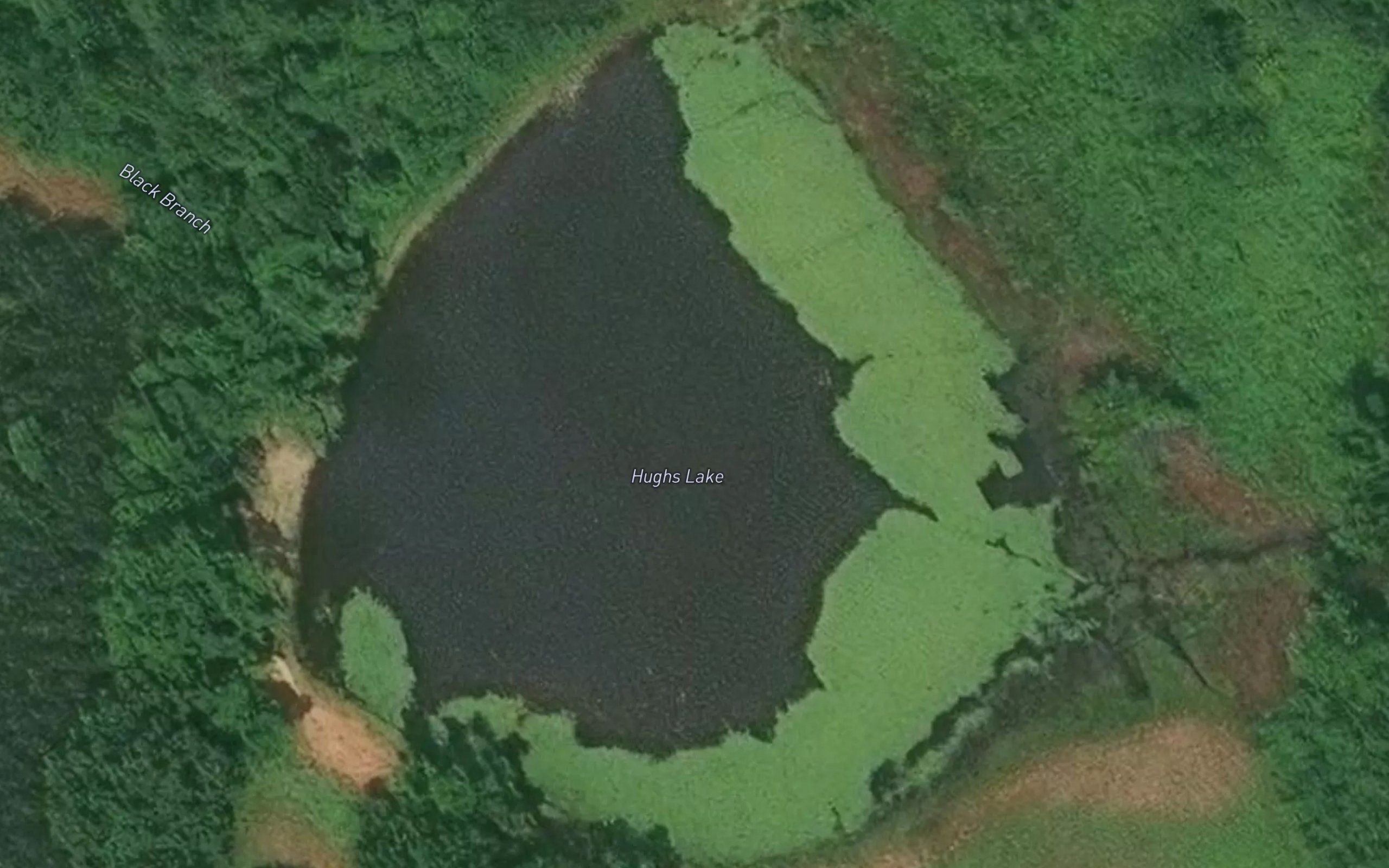 Hughs Lake