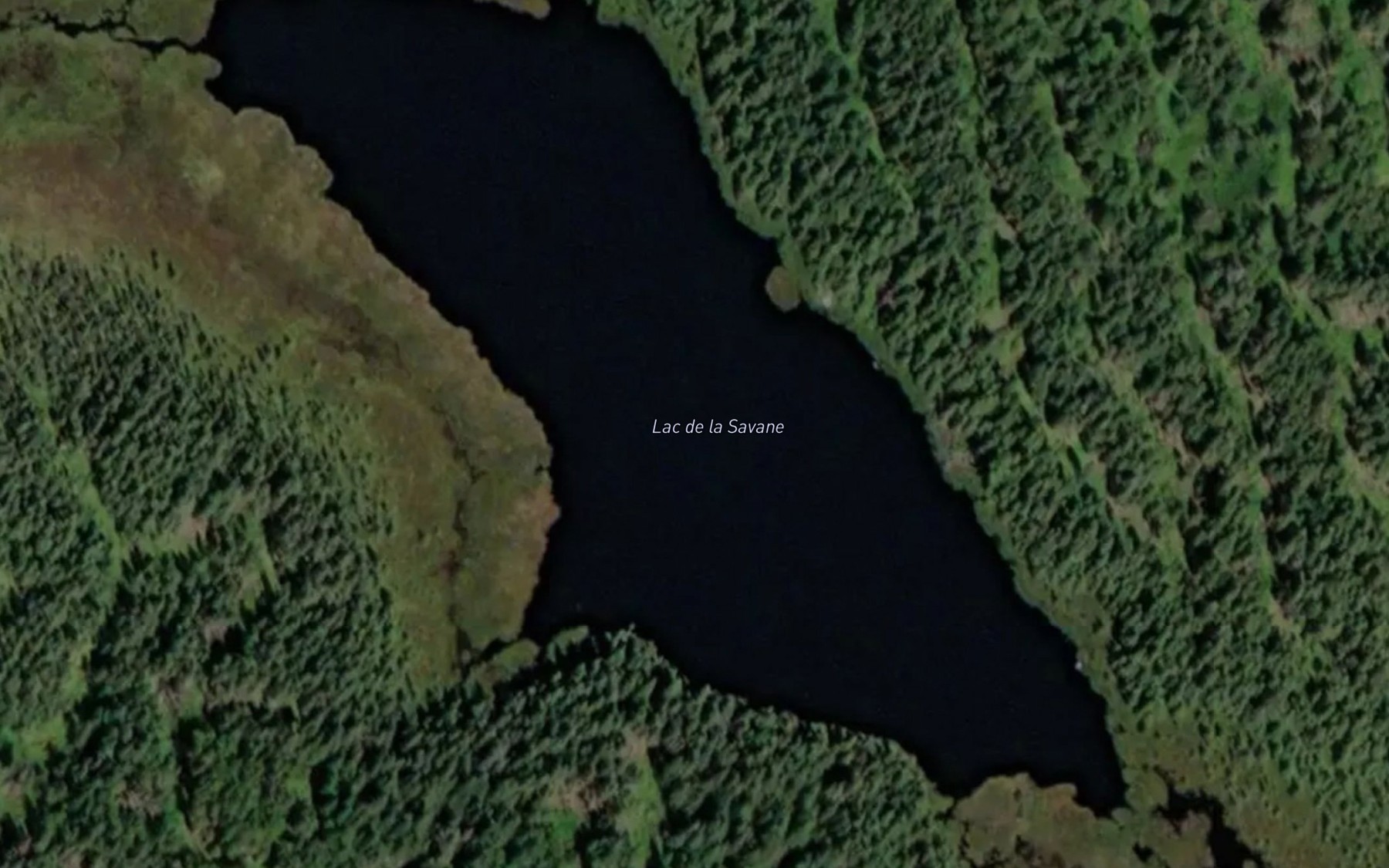 Satellite map of the Lac de la Savane
