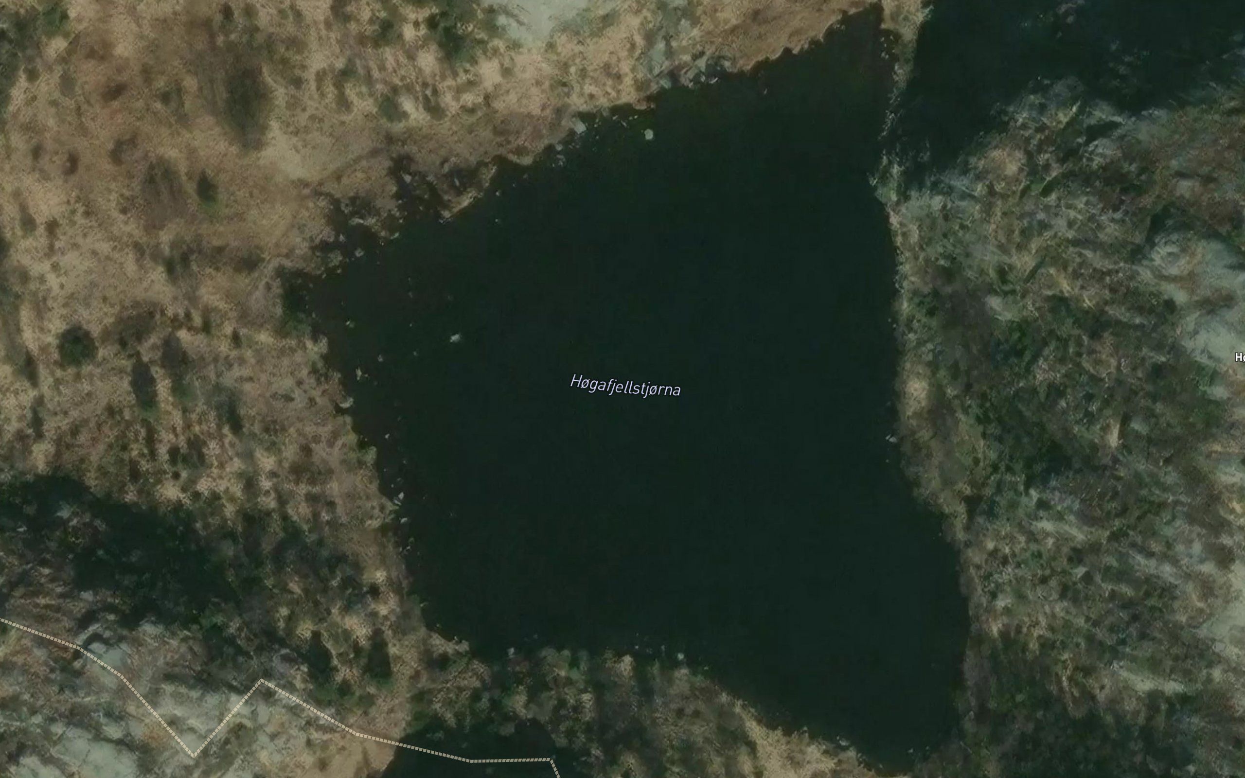 Hogafjellstjorna