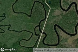 Alligator Creek