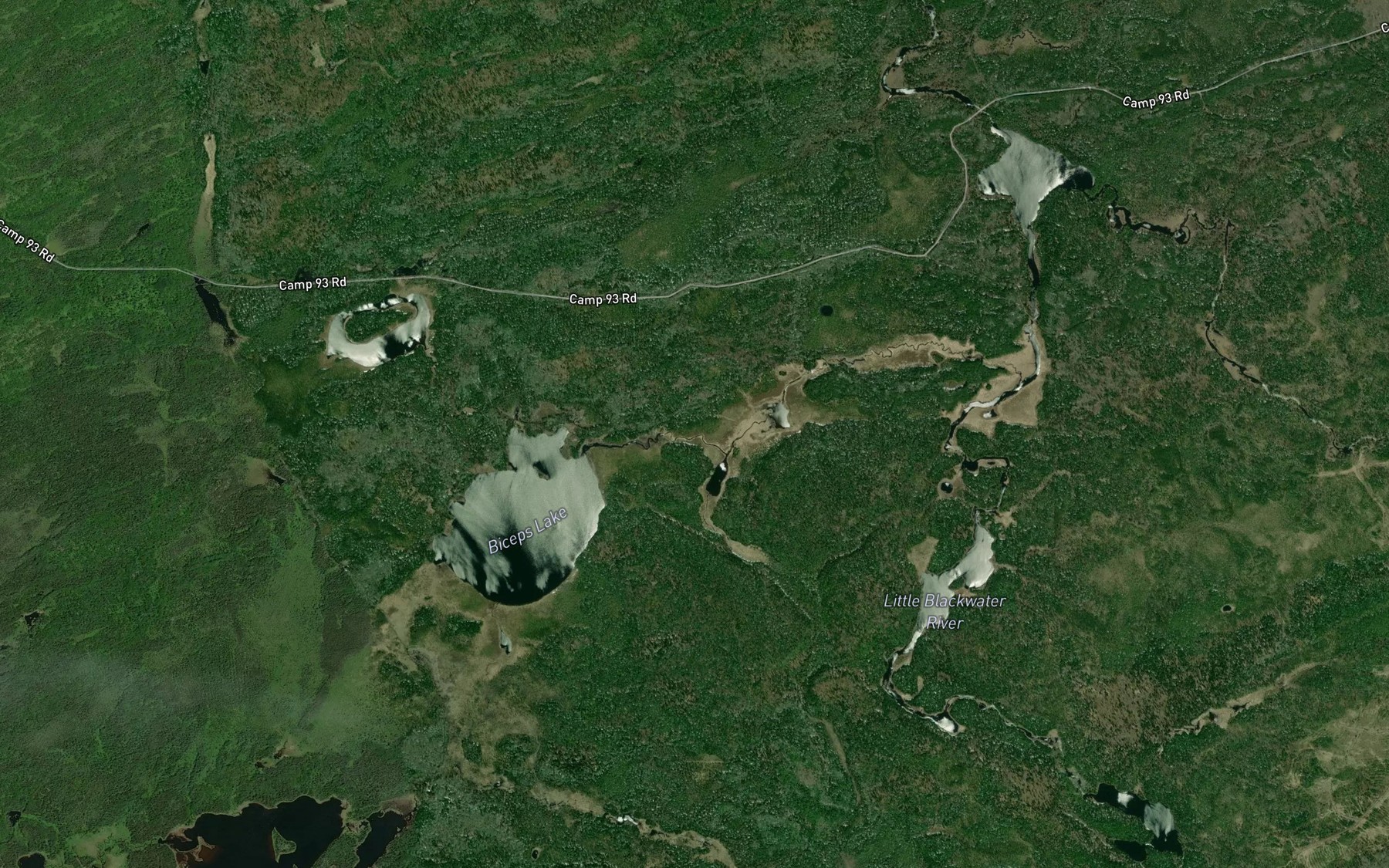 Satellite map of the Biceps Creek