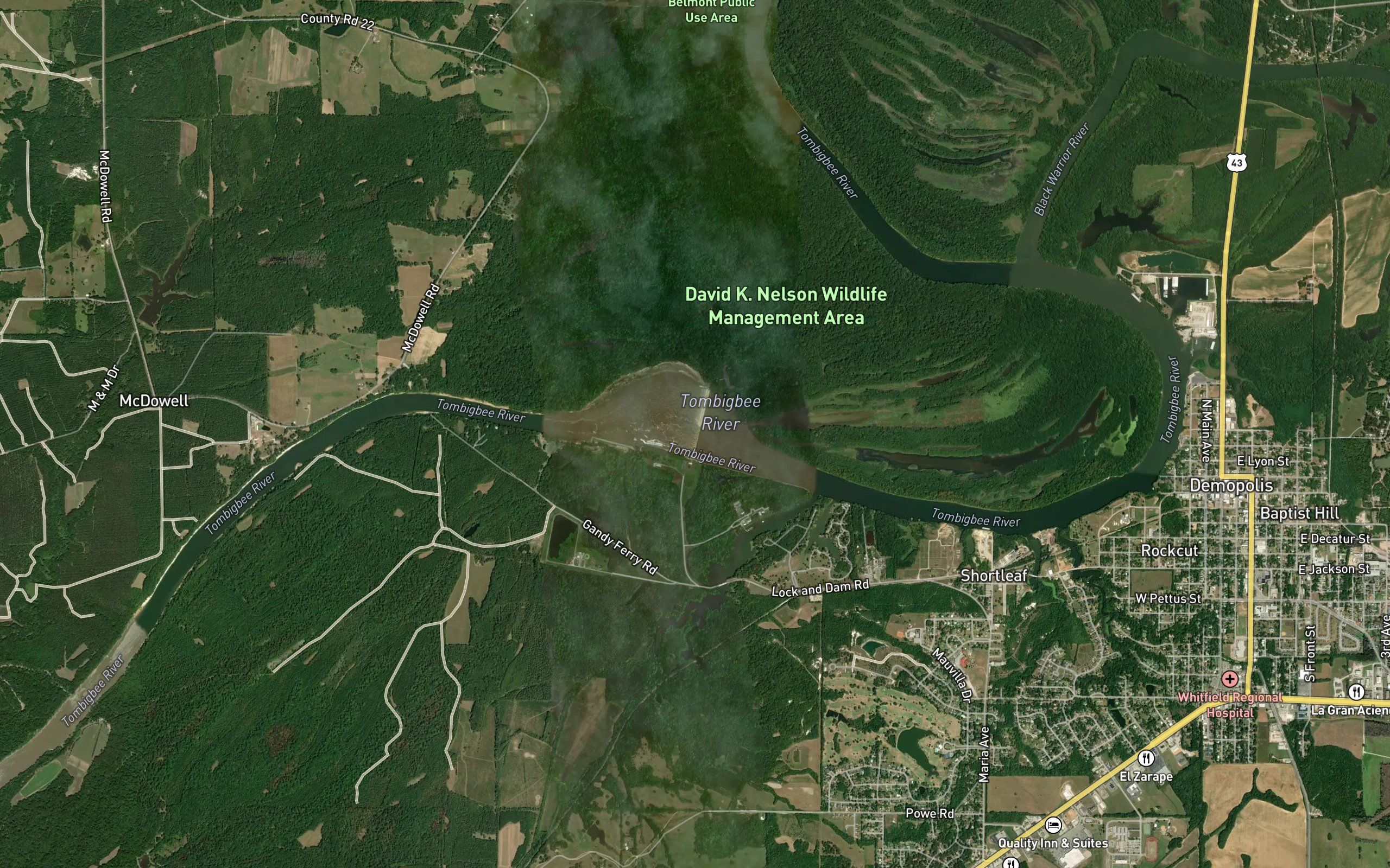 Lake Demopolis