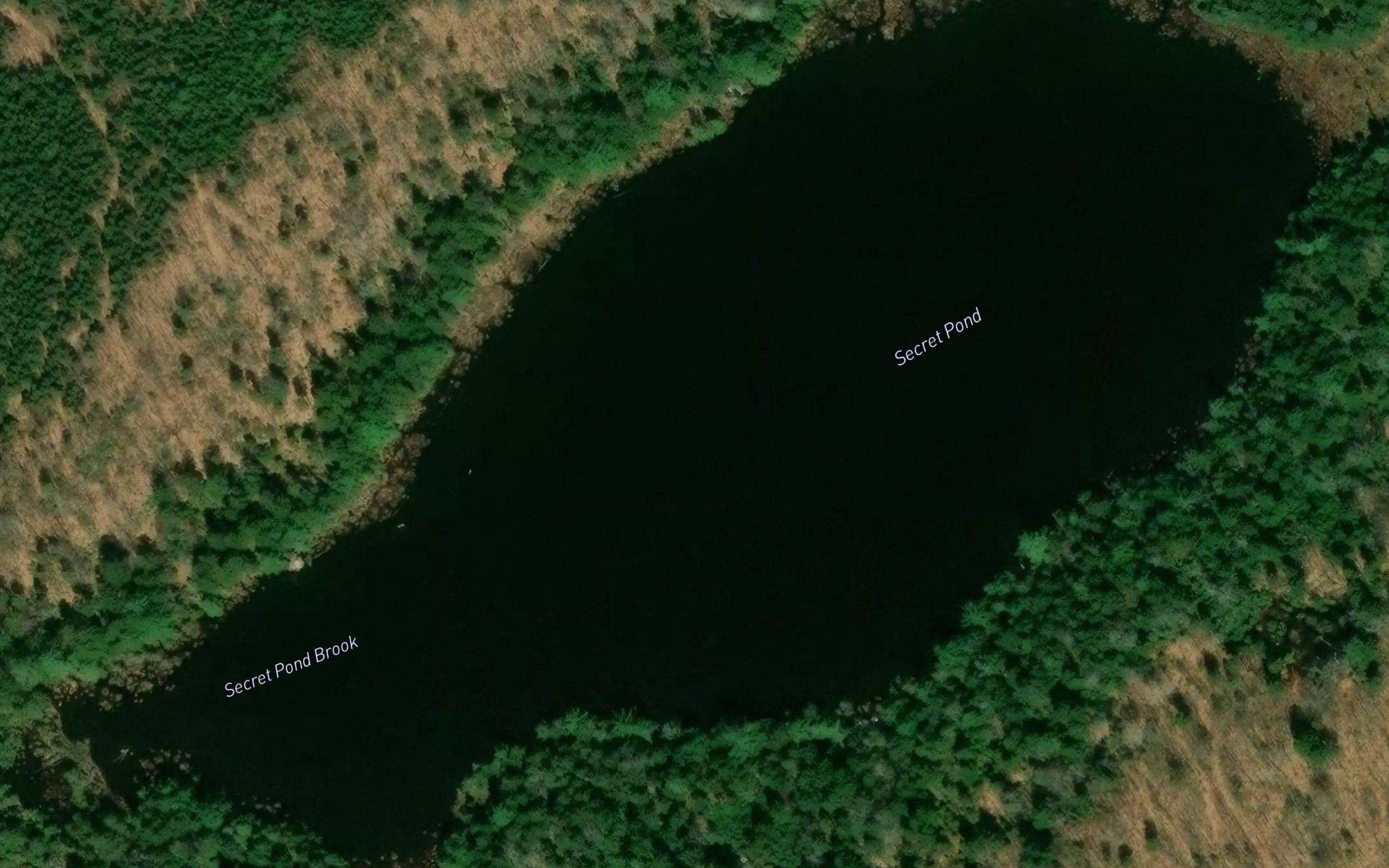 Secret Pond
