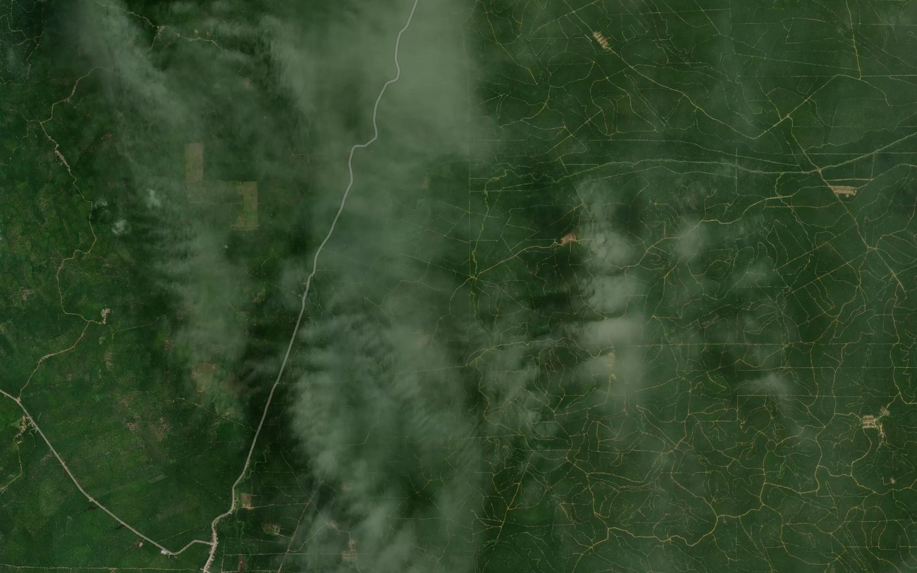 Satellite map of the Sungai Pinangnagadang