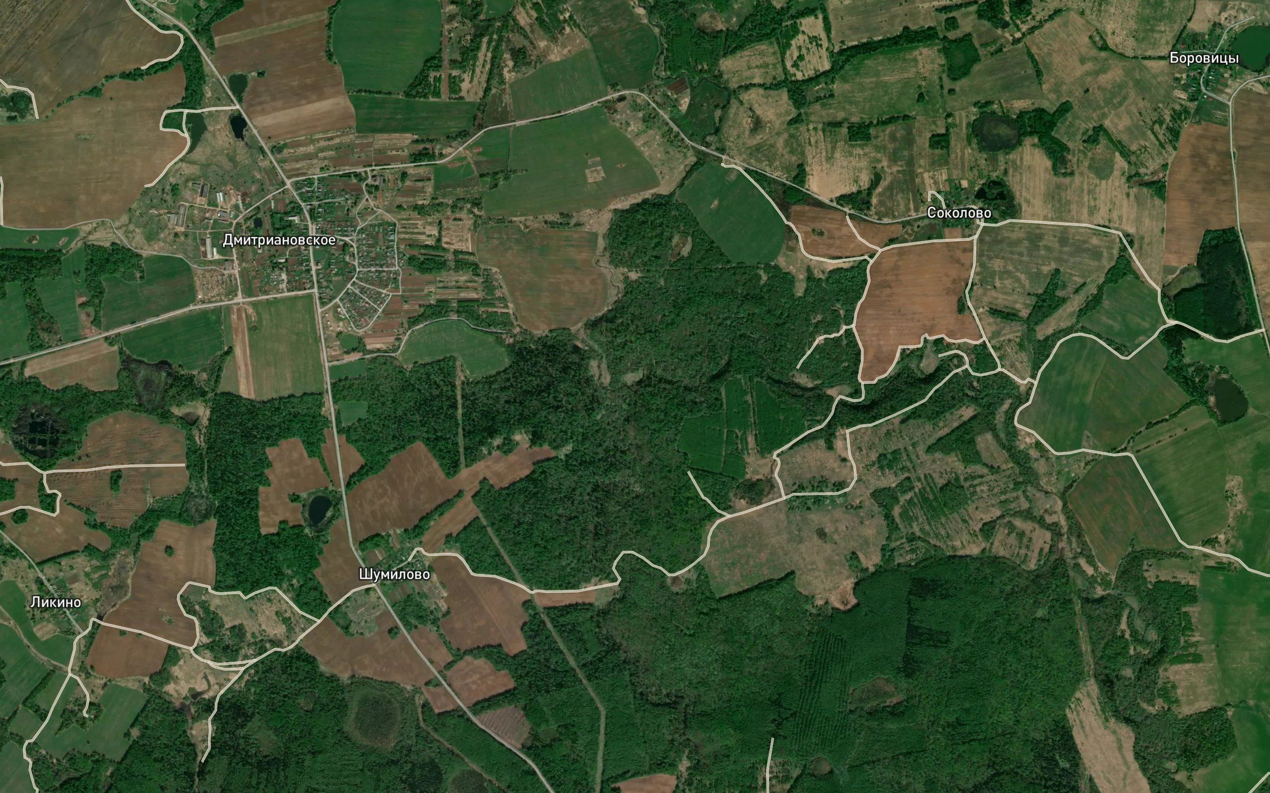 Shiringa
