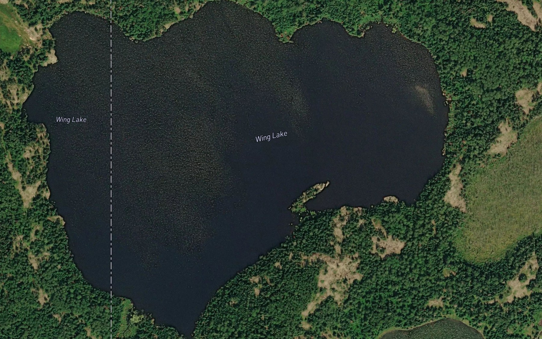 Satellite map of the Wing Lake