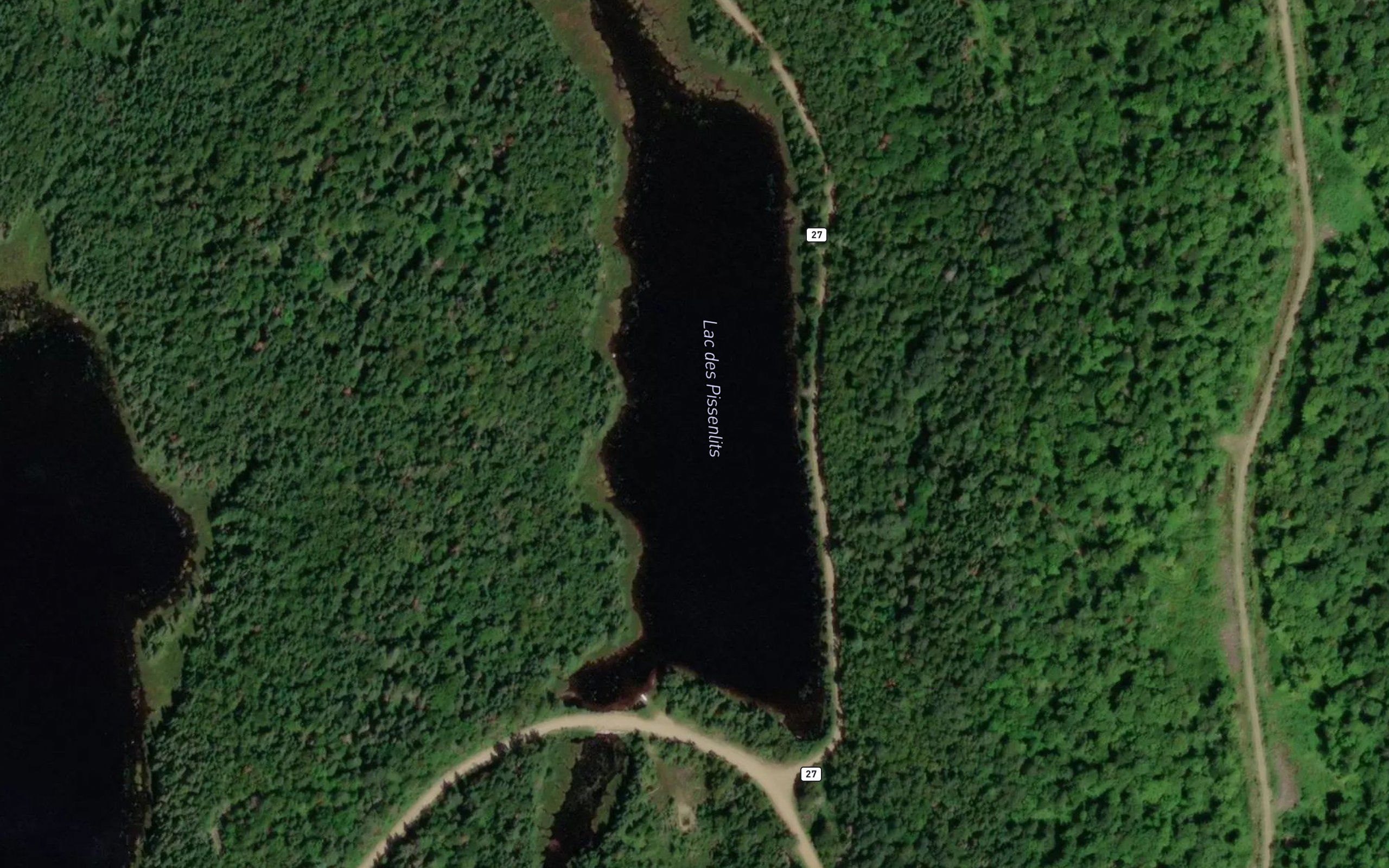 Lac des Pissenlits