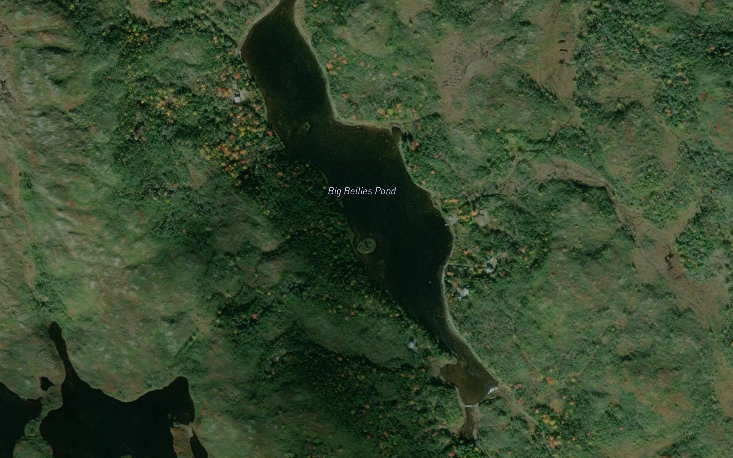 Big Bellies Pond