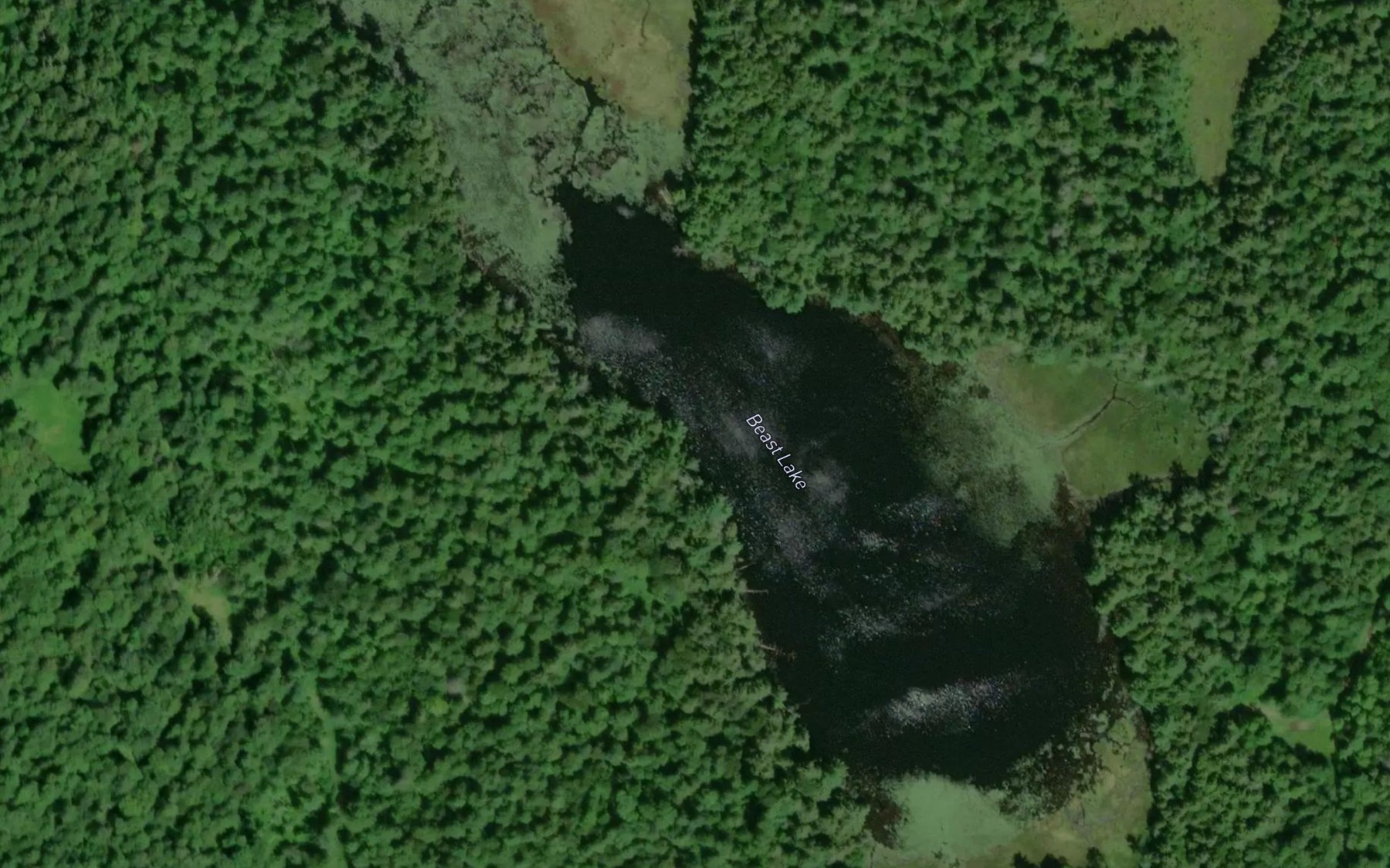 Satellite map of the Beast Lake