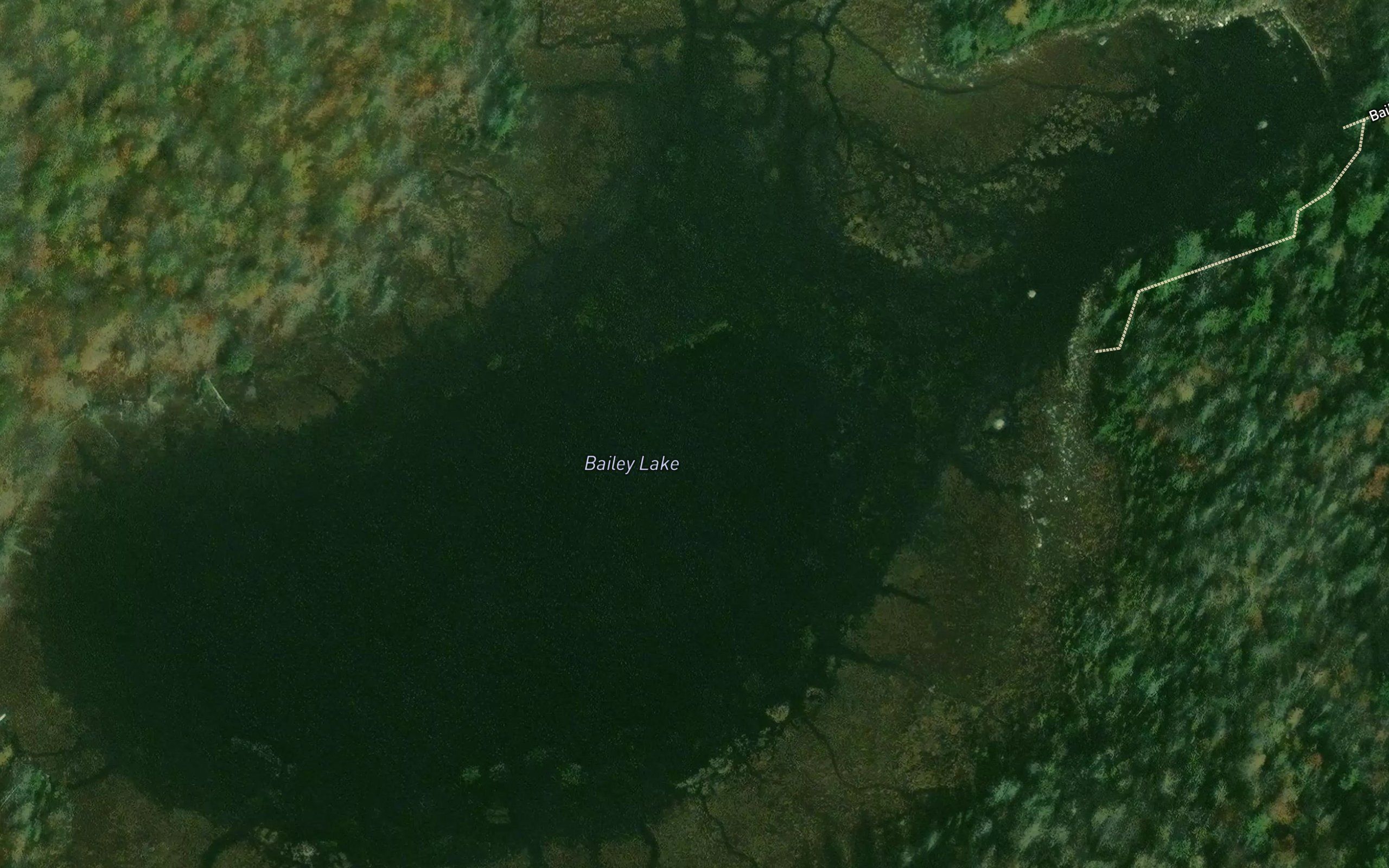 Bailey Pond
