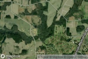 Burnt Stocking Branch