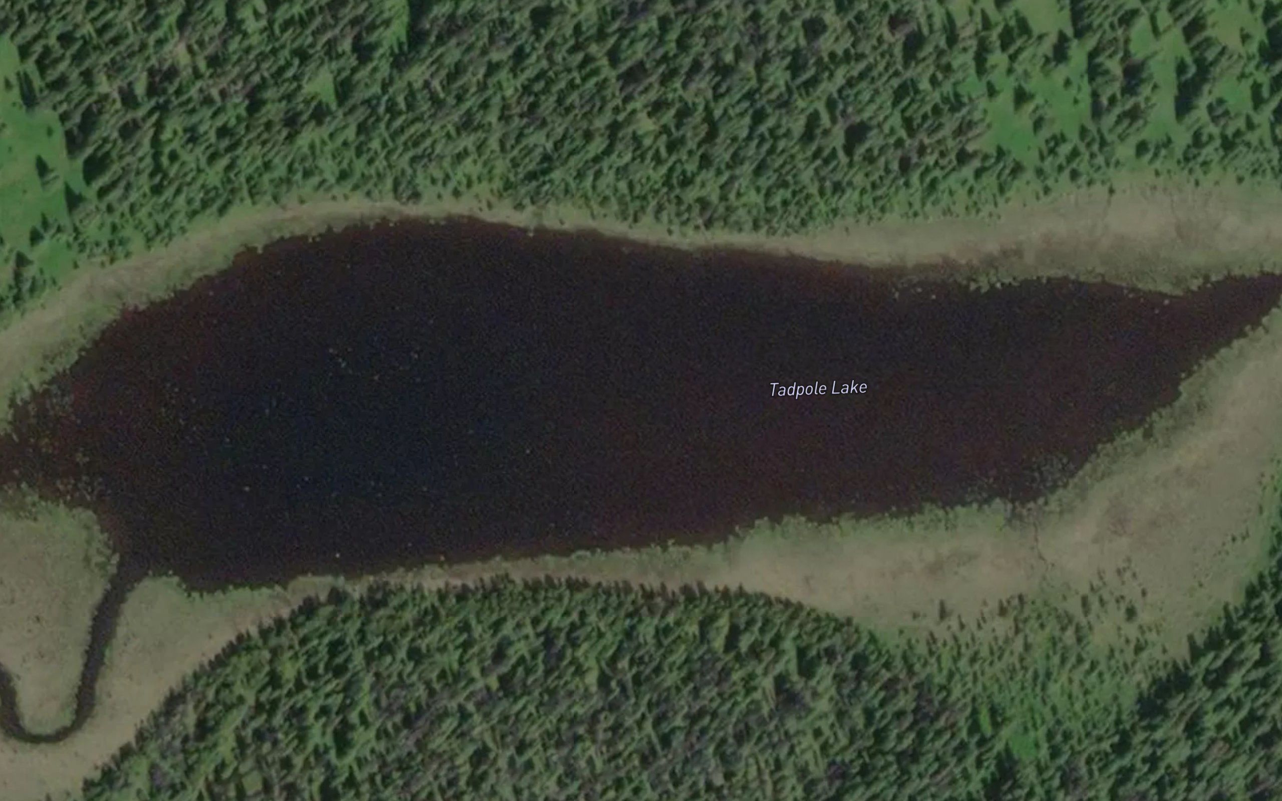 Tadpole Lake
