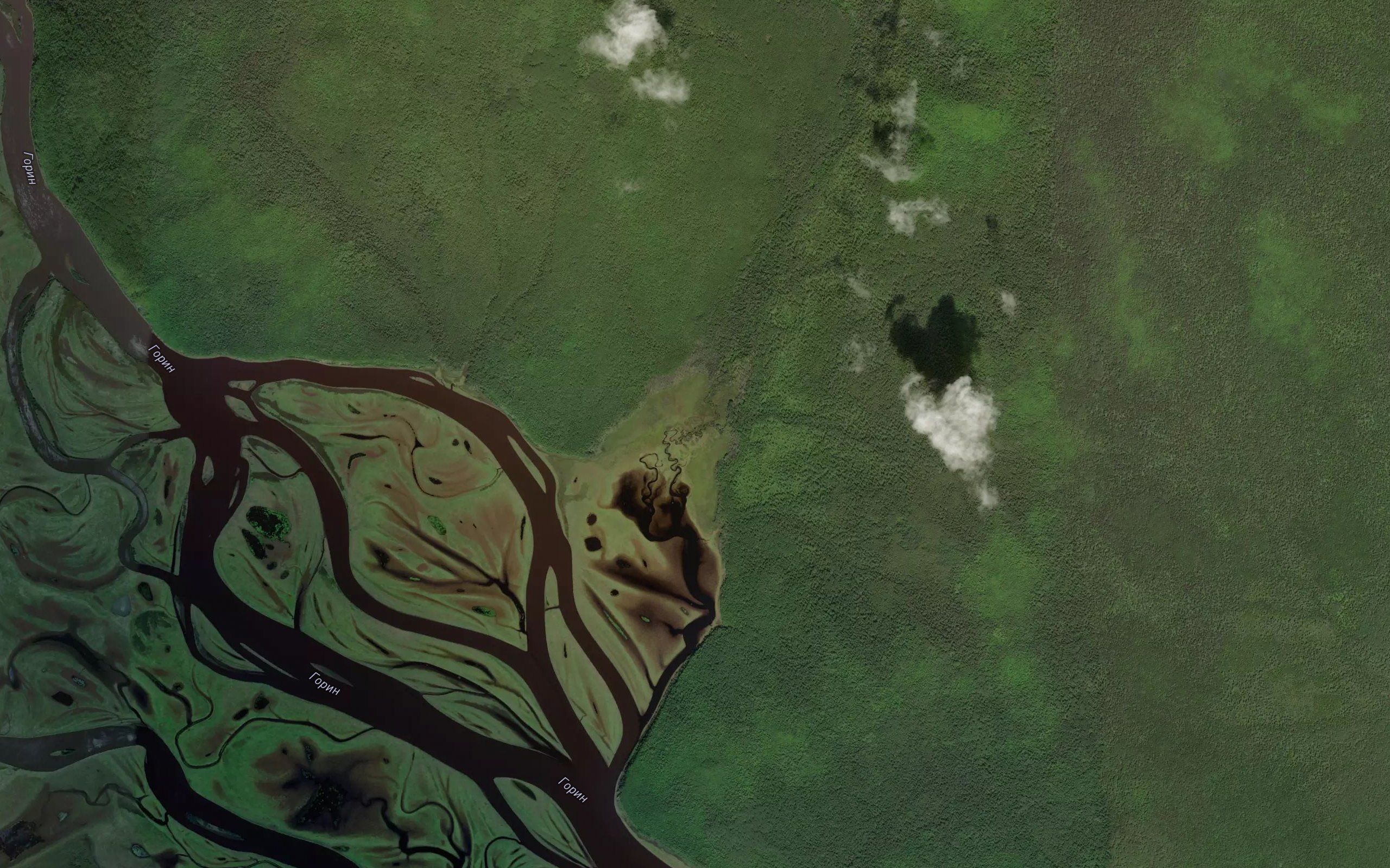 Puylya