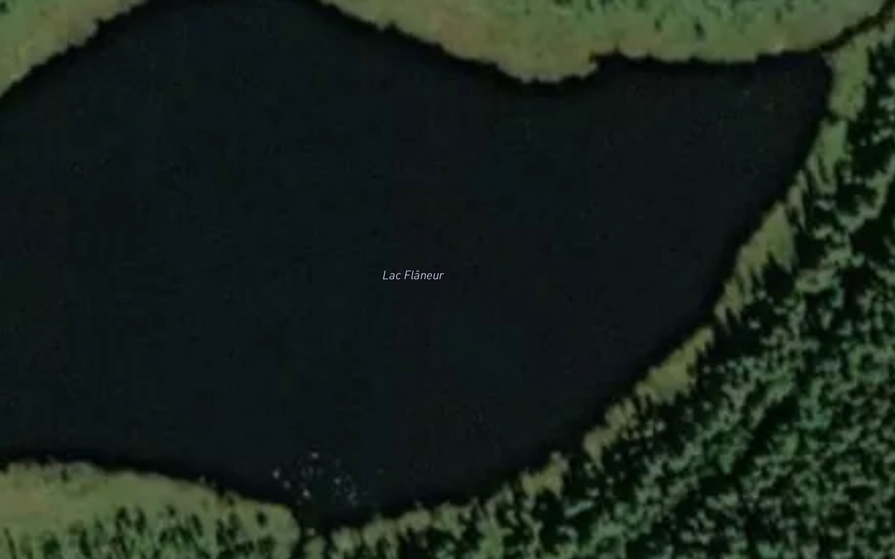 Satellite map of the Lac Flaneur