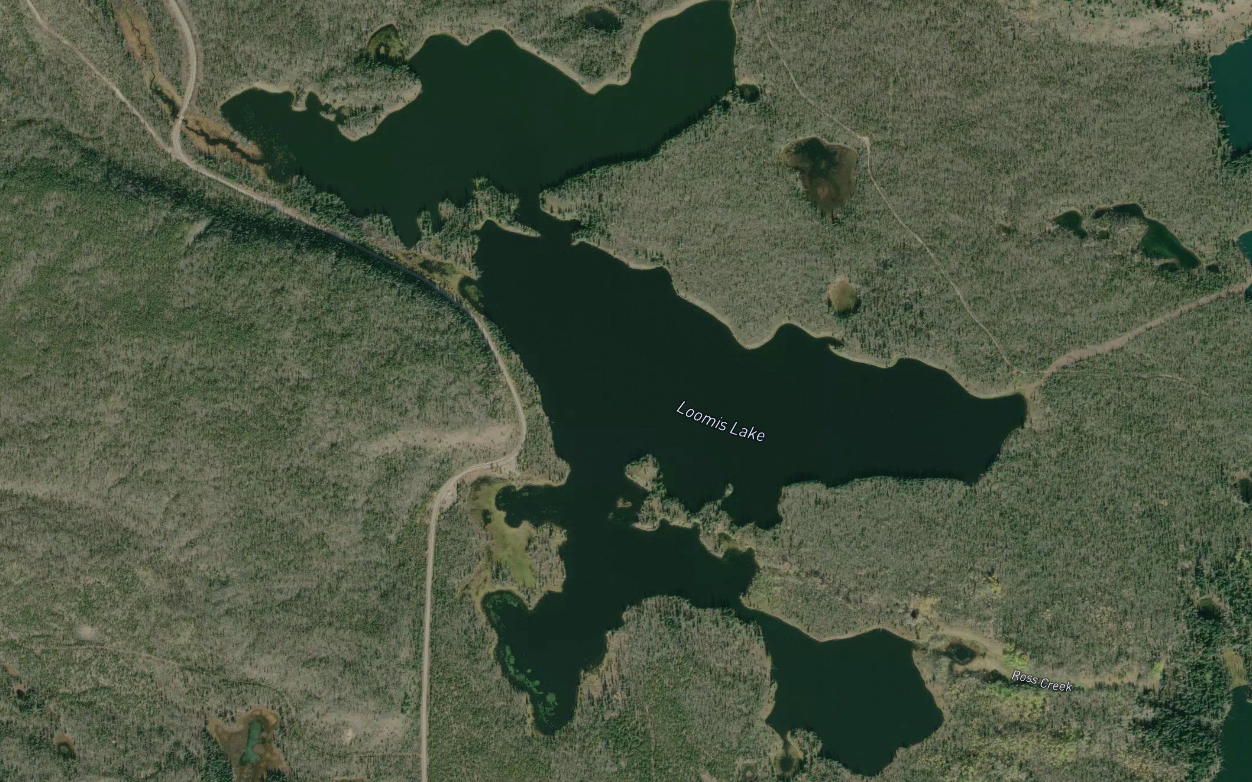 Loomis Lake