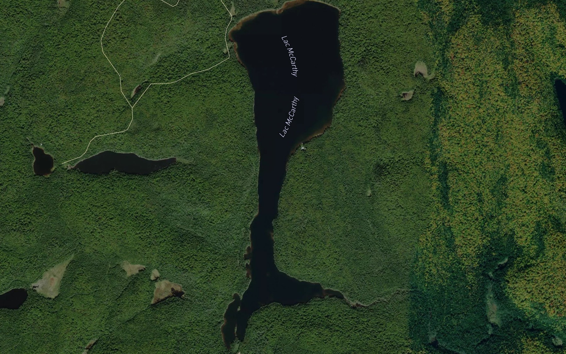 Satellite map of the Lac McCarthy