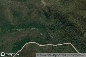 Cabbage Tree Creek