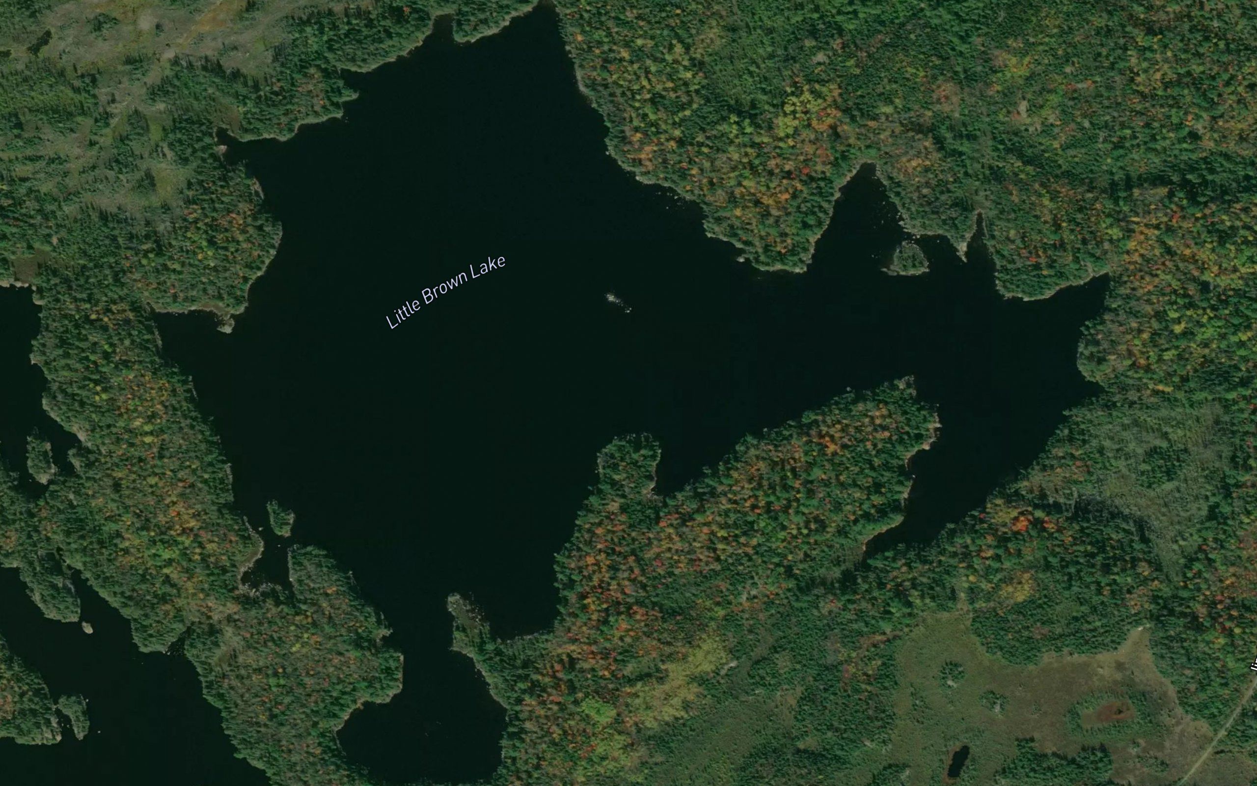 Little Brown Lake