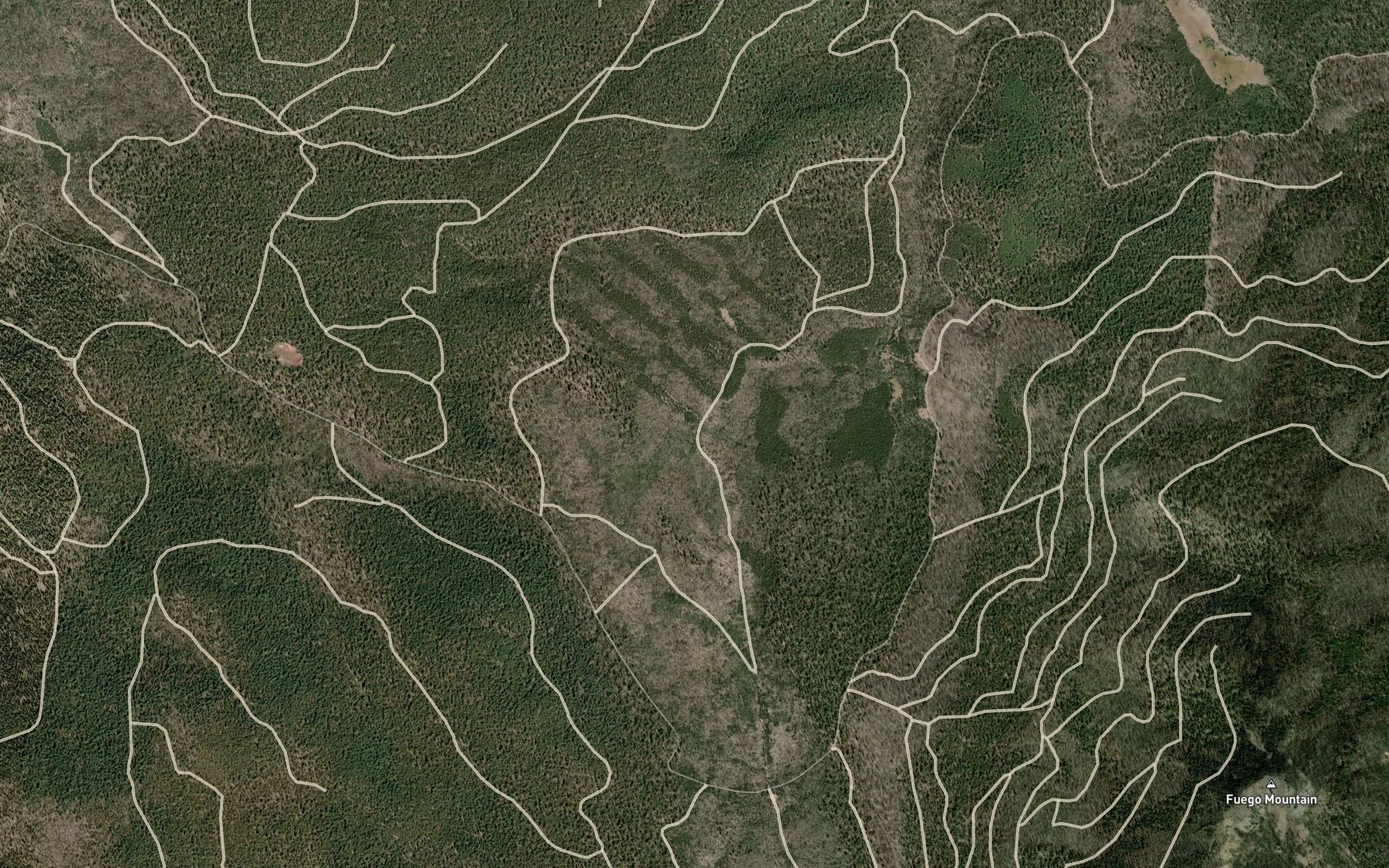Satellite map of the Willow Pond