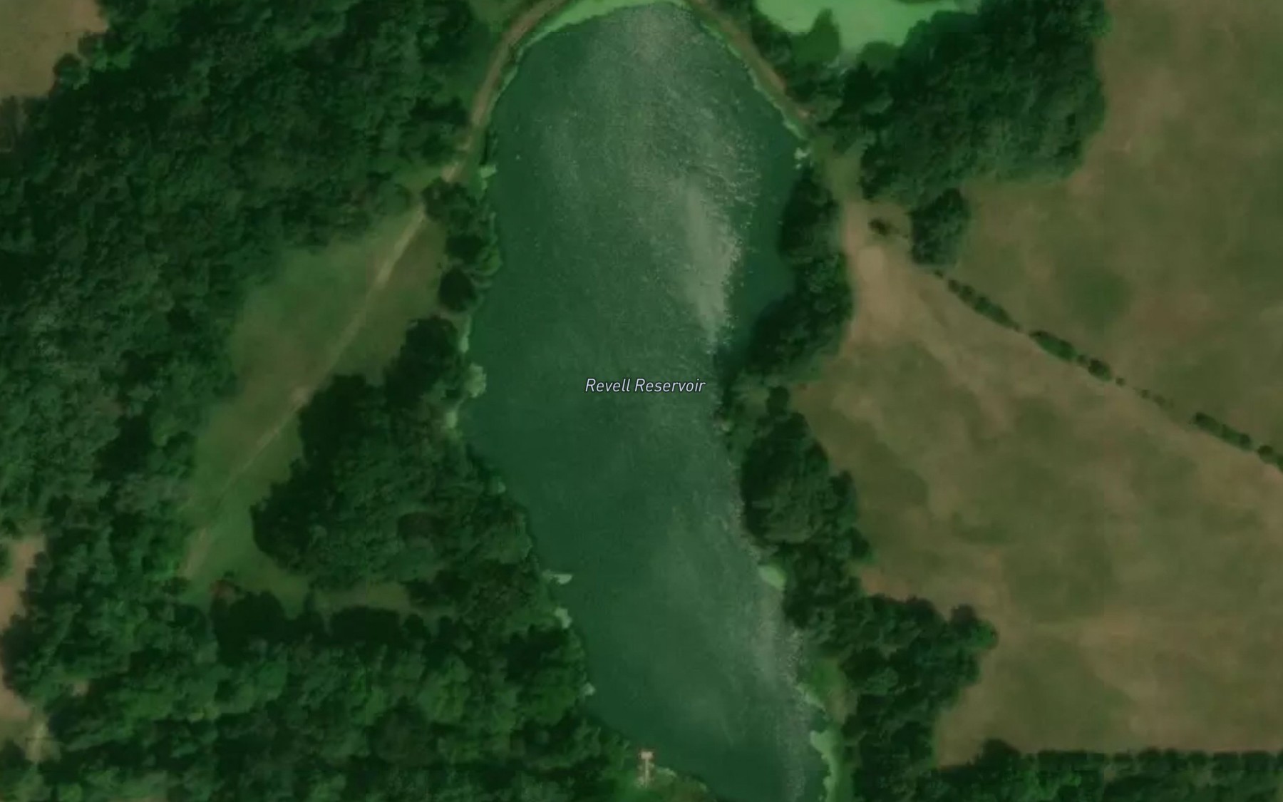 Satellite map of the Revell Ponds