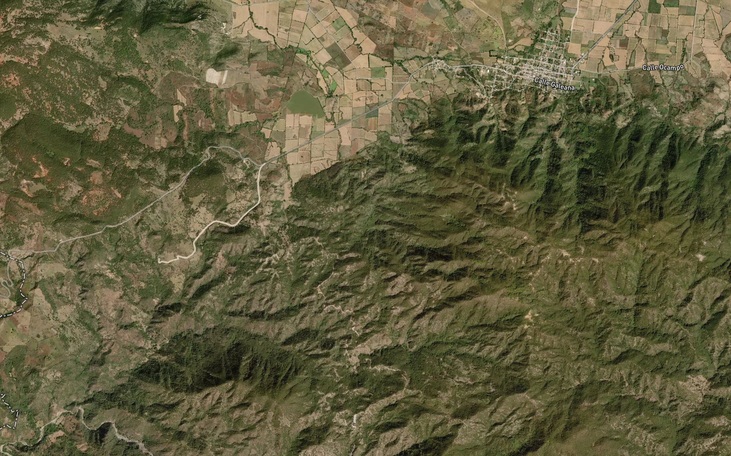 Los Nogales