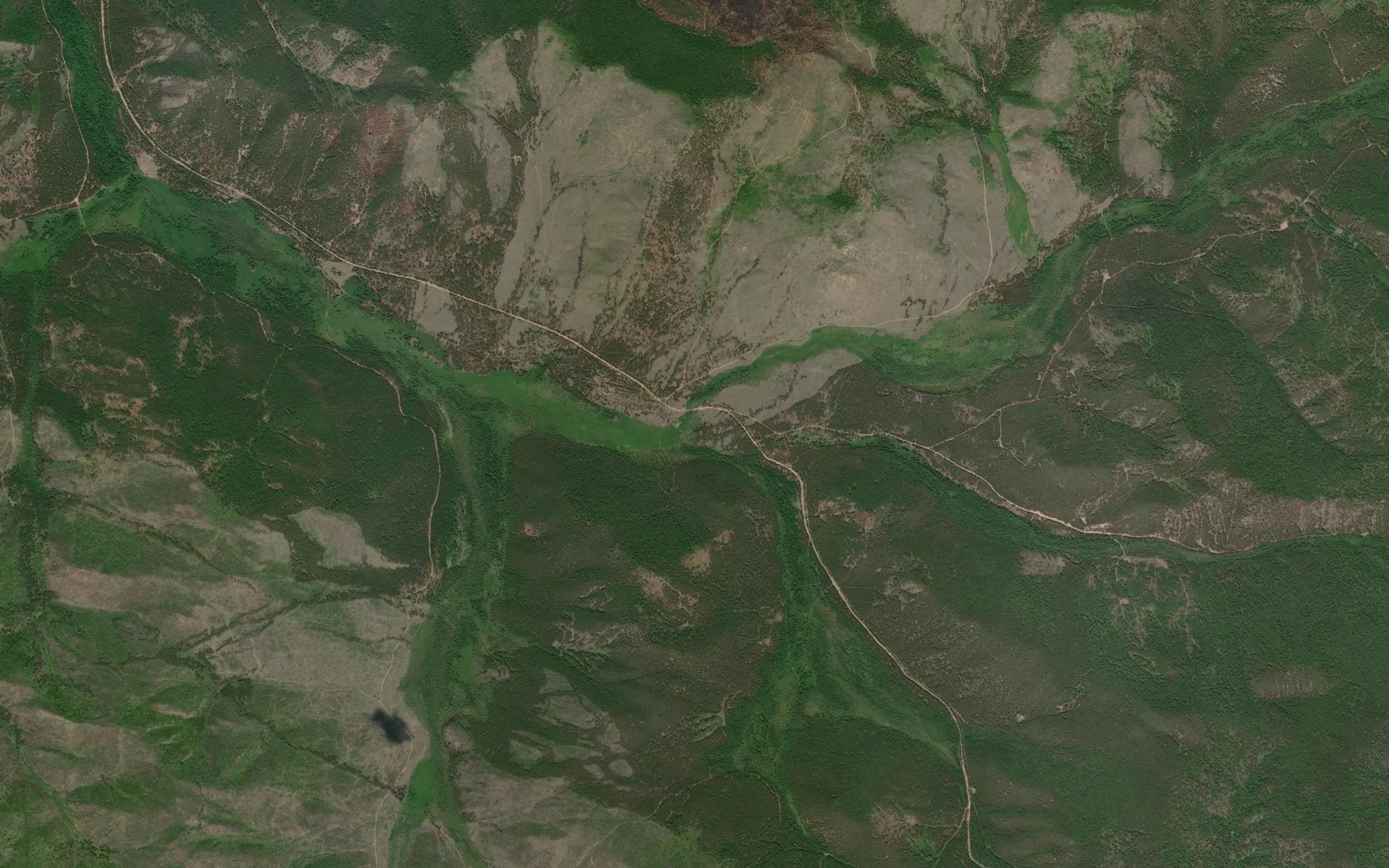 Gryaznyy