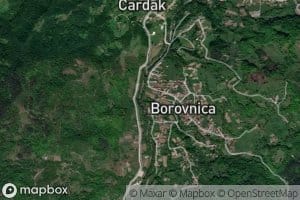 Buretina
