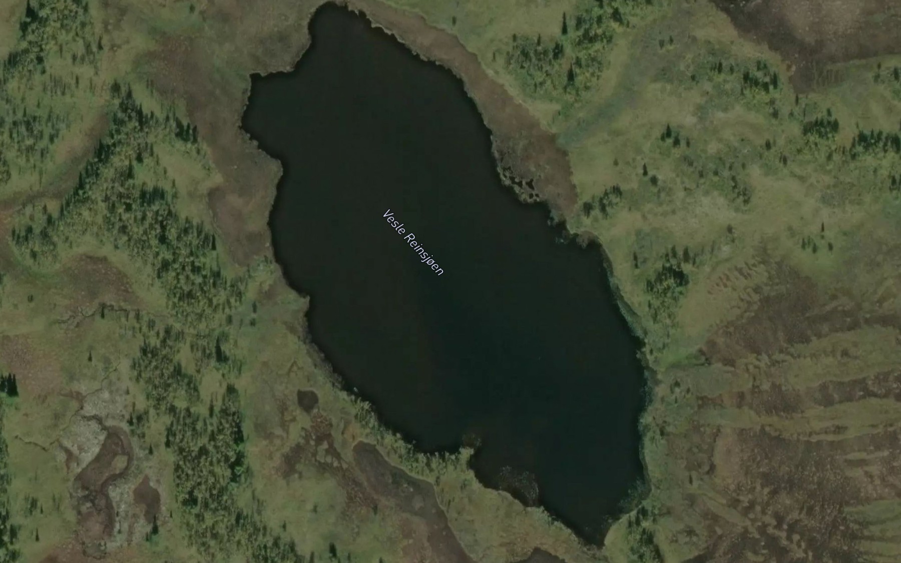 Satellite map of the Reinsjoen,vesle