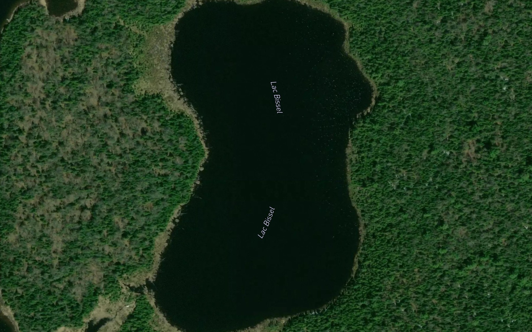 Satellite map of the Lac Bissel