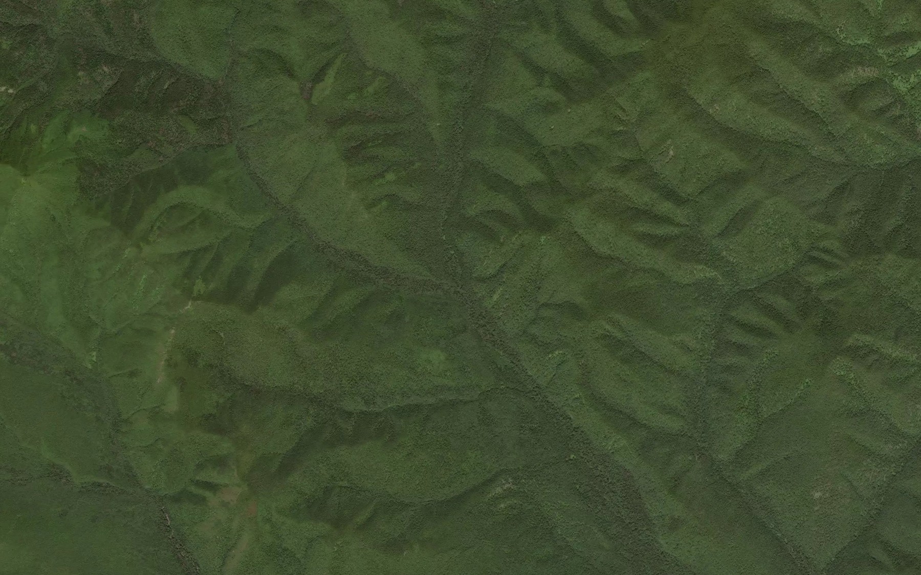 Satellite map of the Veselyy