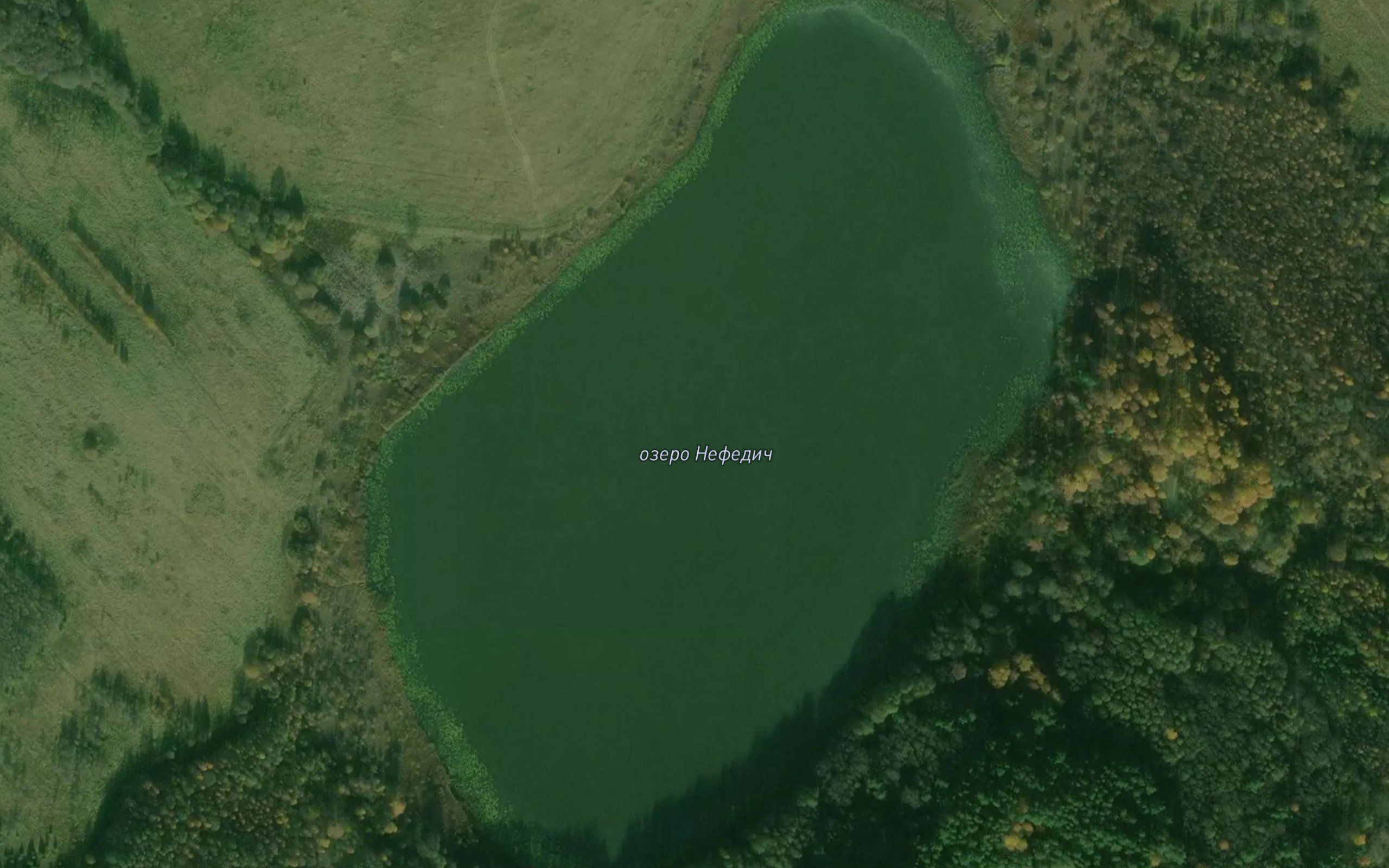 Ozero Nefedich