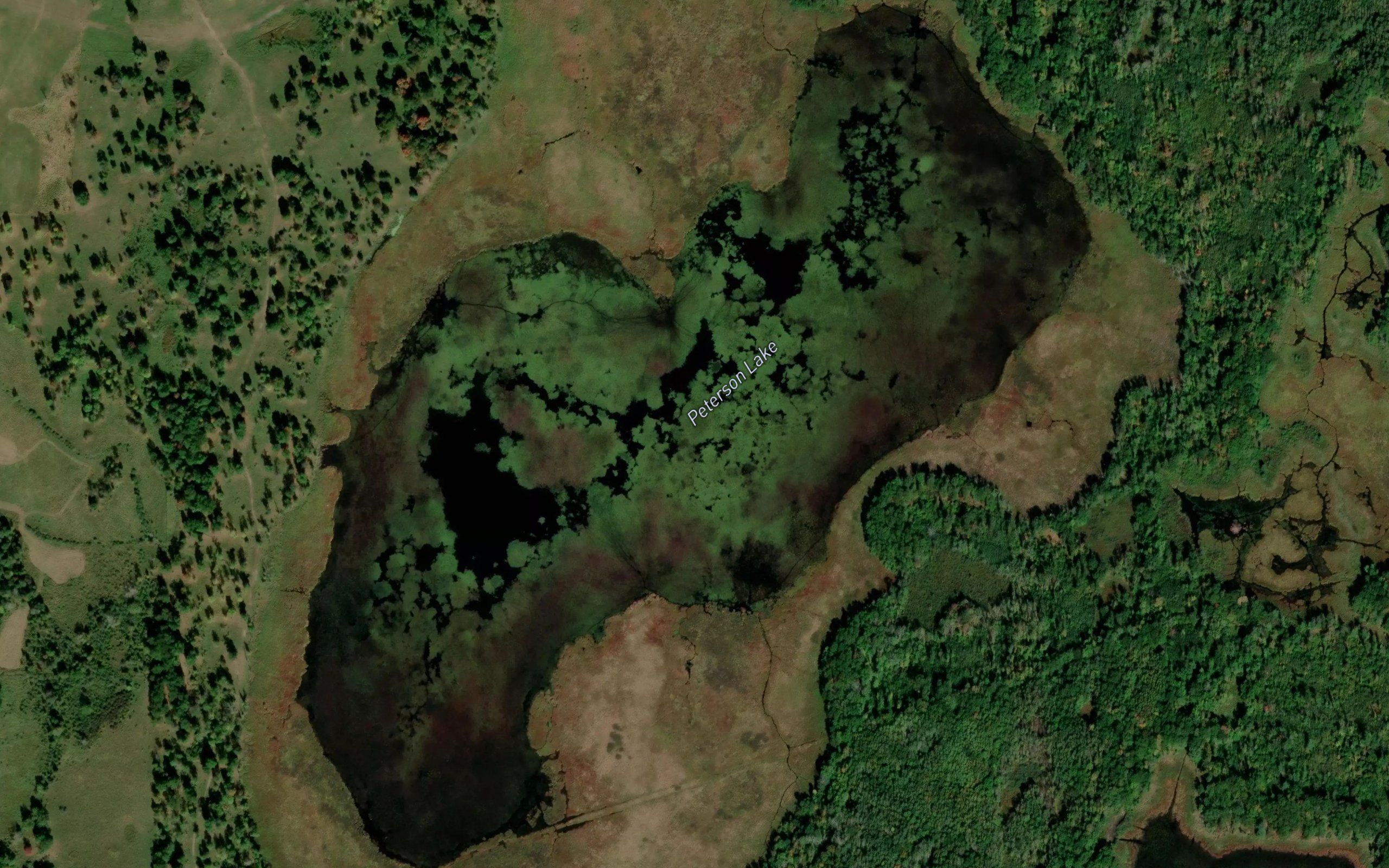 Peterson Lake