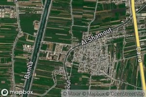 Tur`at al Falfilah al Mustajaddah