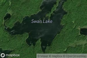 Swan Lake