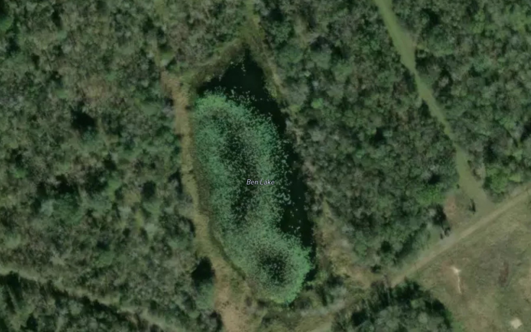 Satellite map of the Ben Lake