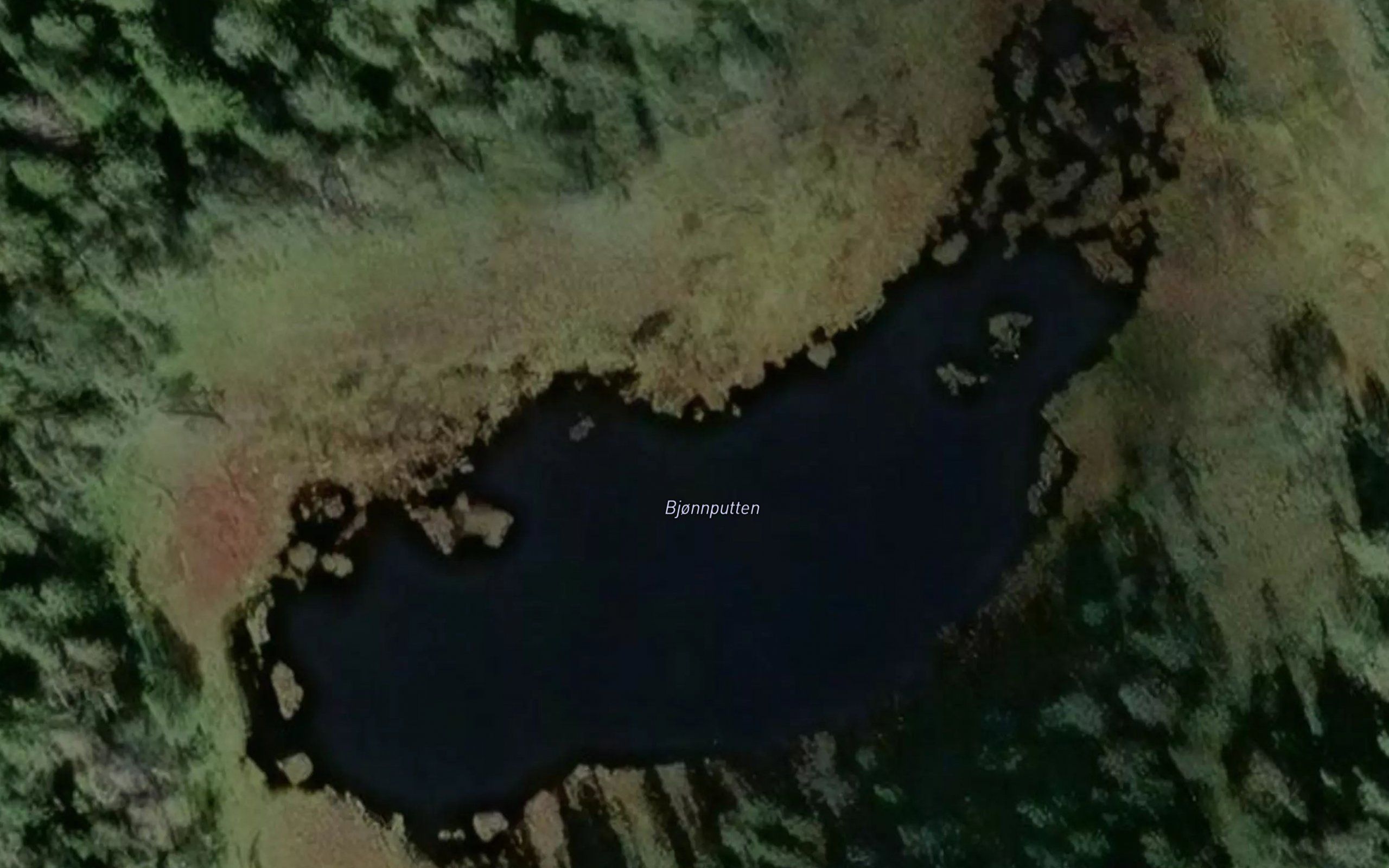 Bjonnputten