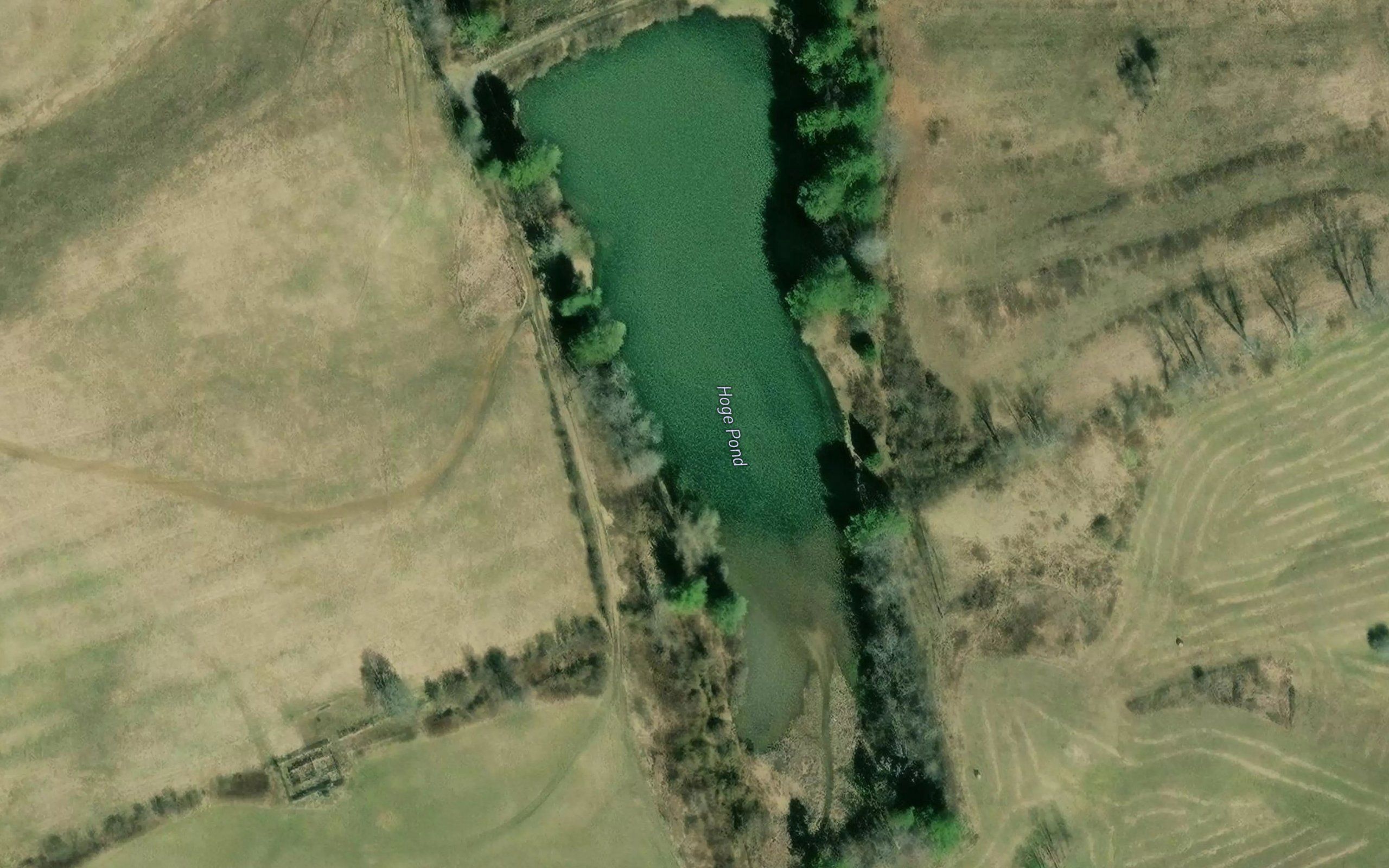Hoge Pond