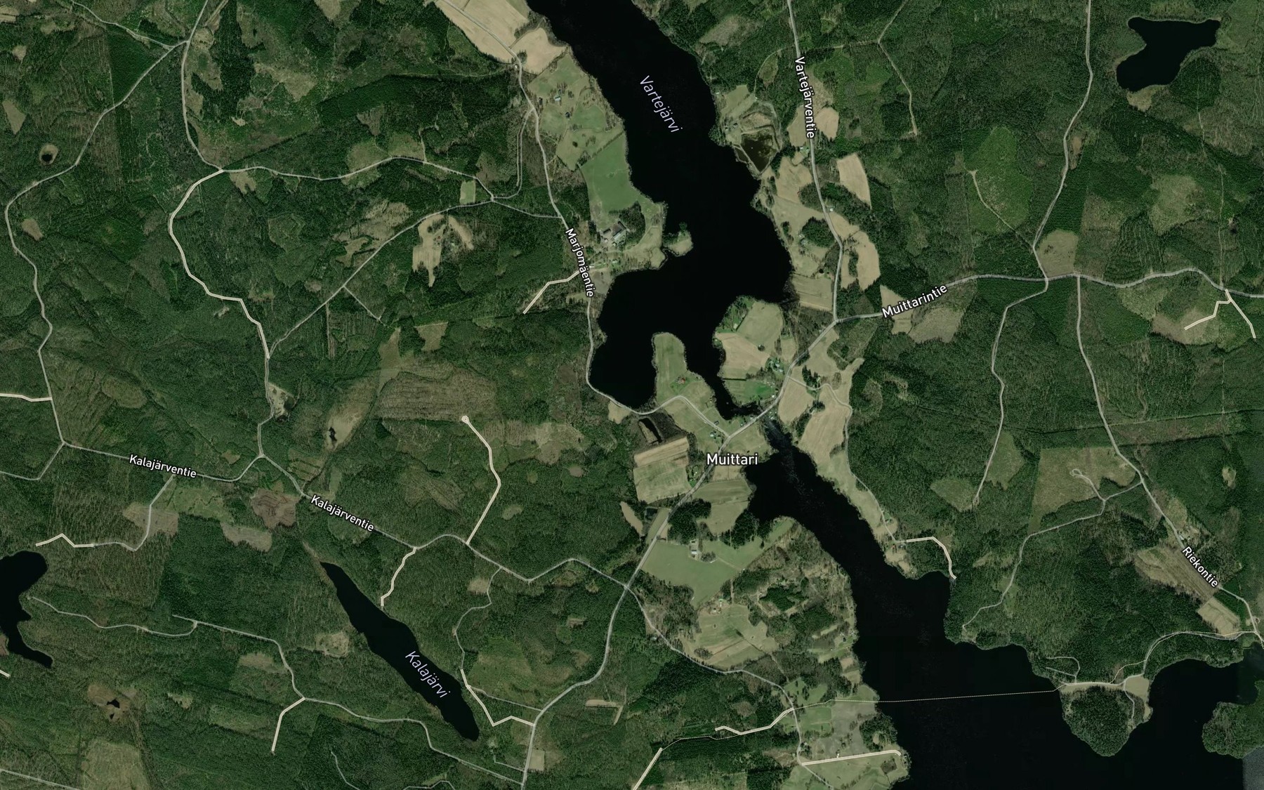 Satellite map of the Pitkalahti