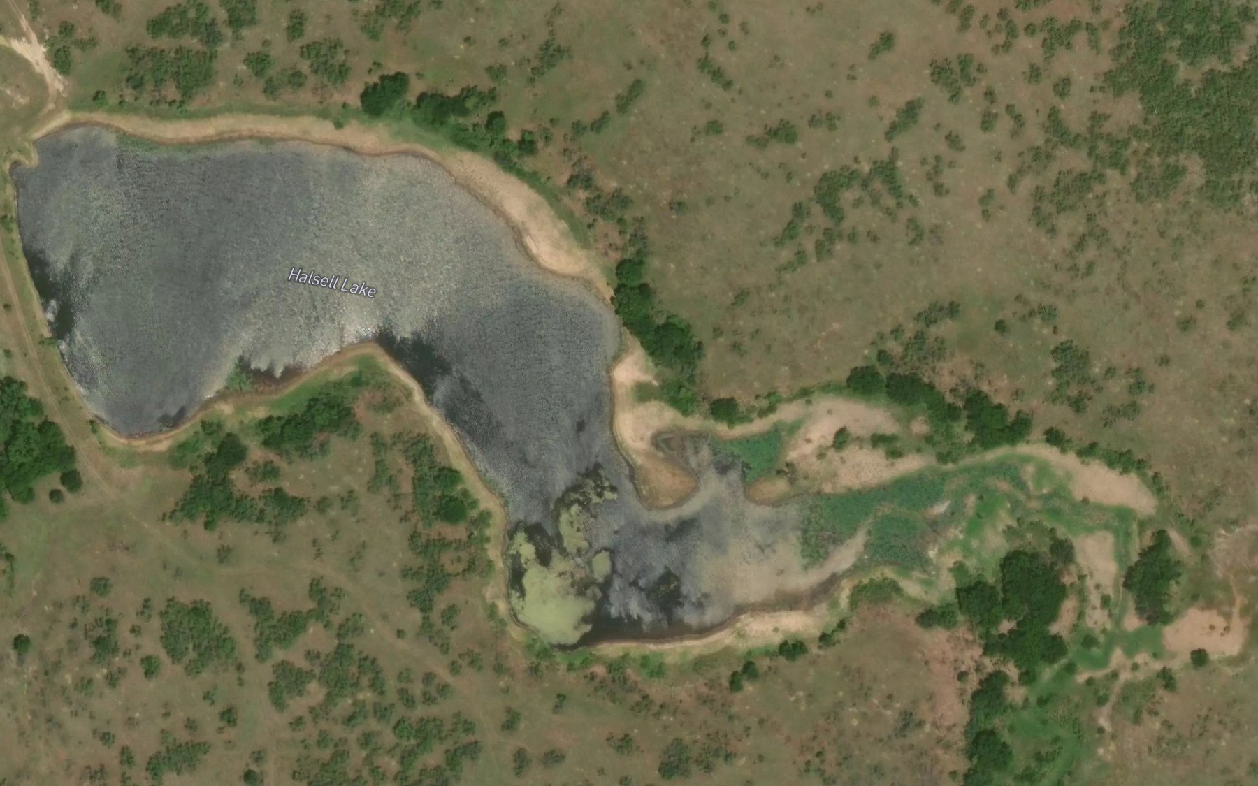 Satellite map of the Whitley Lake