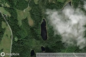 Haukilampi