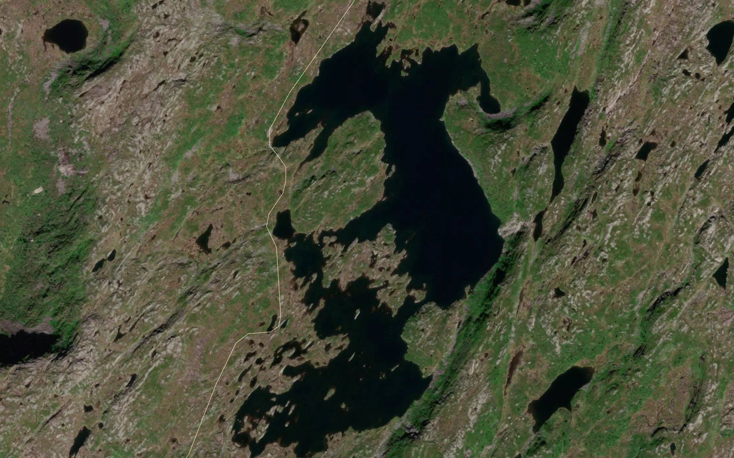 Spongavatnet