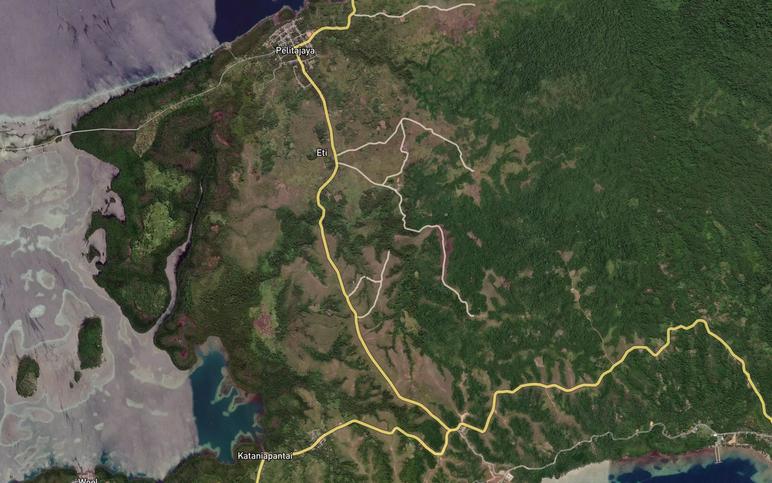 Wai Sangkilang