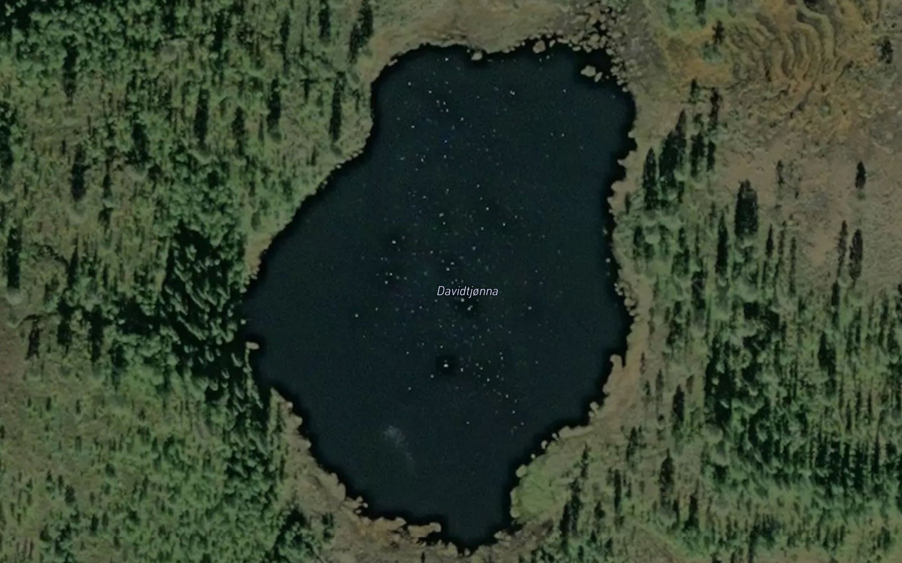 Satellite map of the Davidtjornin