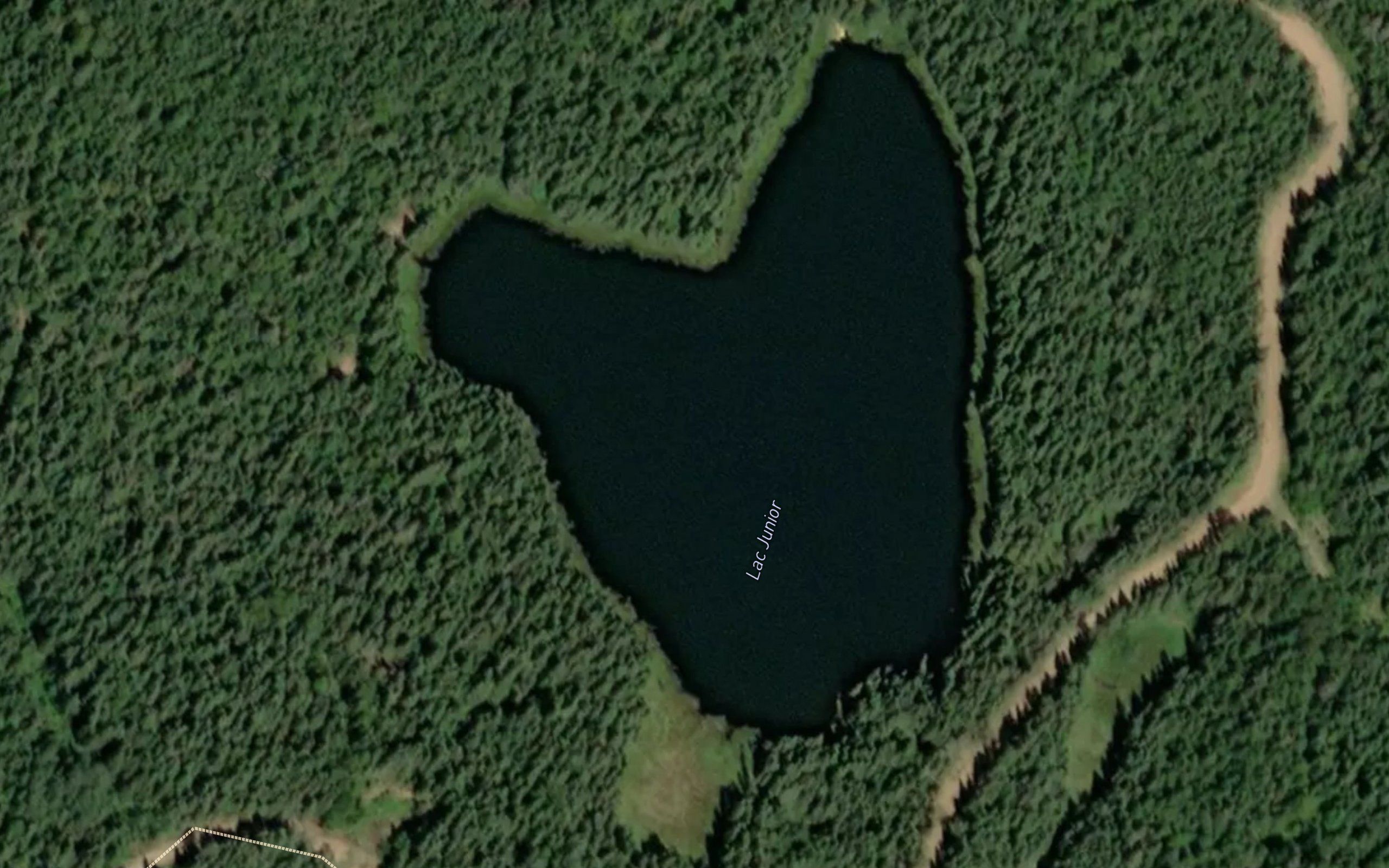 Lac Junior